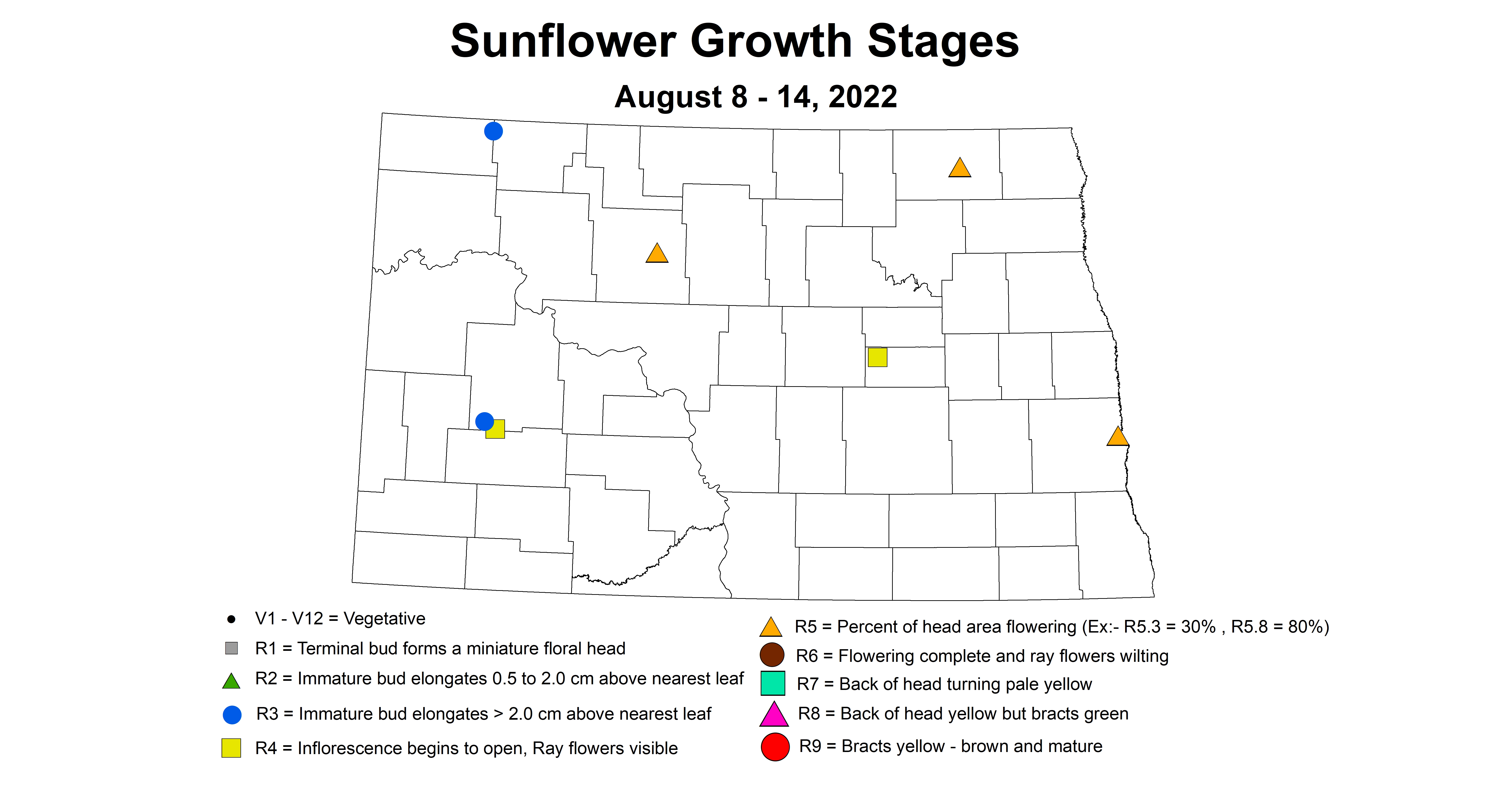 sunflower growth stages 2022 8.8-8.14