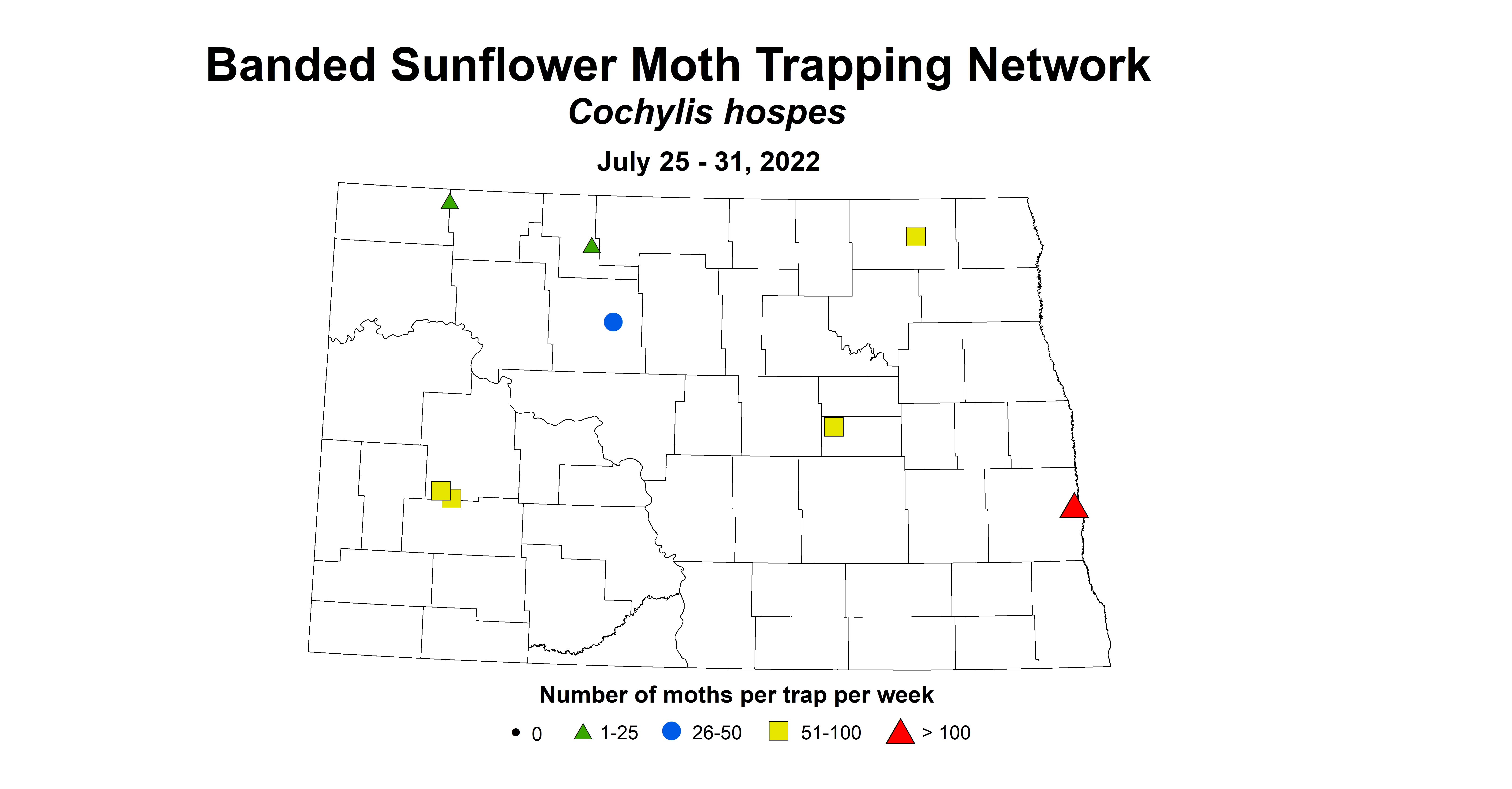 sunflower insecttrap banded sunflower moth 2022 7.25-7.31.jpg