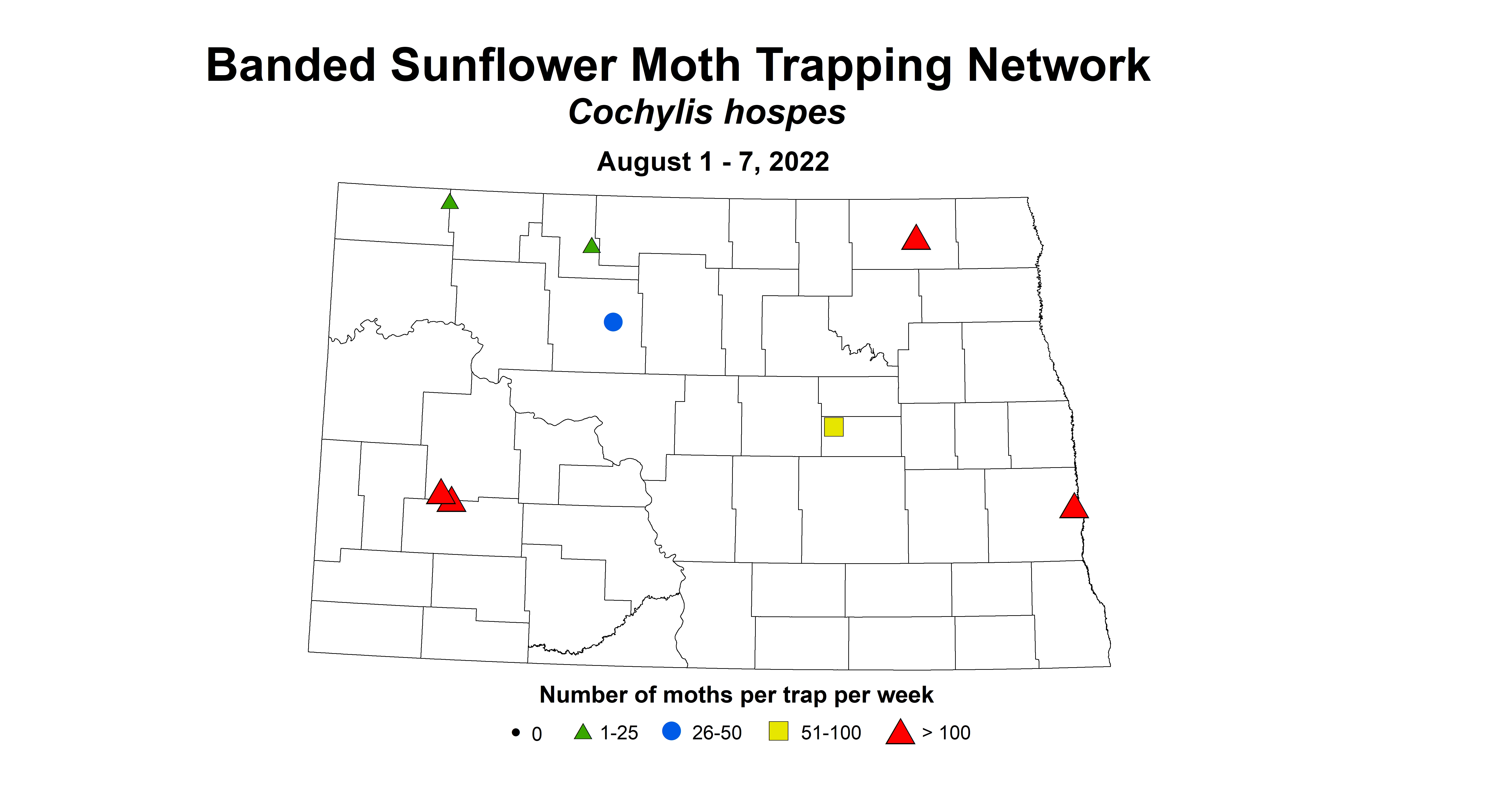 sunflower insecttrap banded sunflower moth 2022 8.1-8.7.jpg
