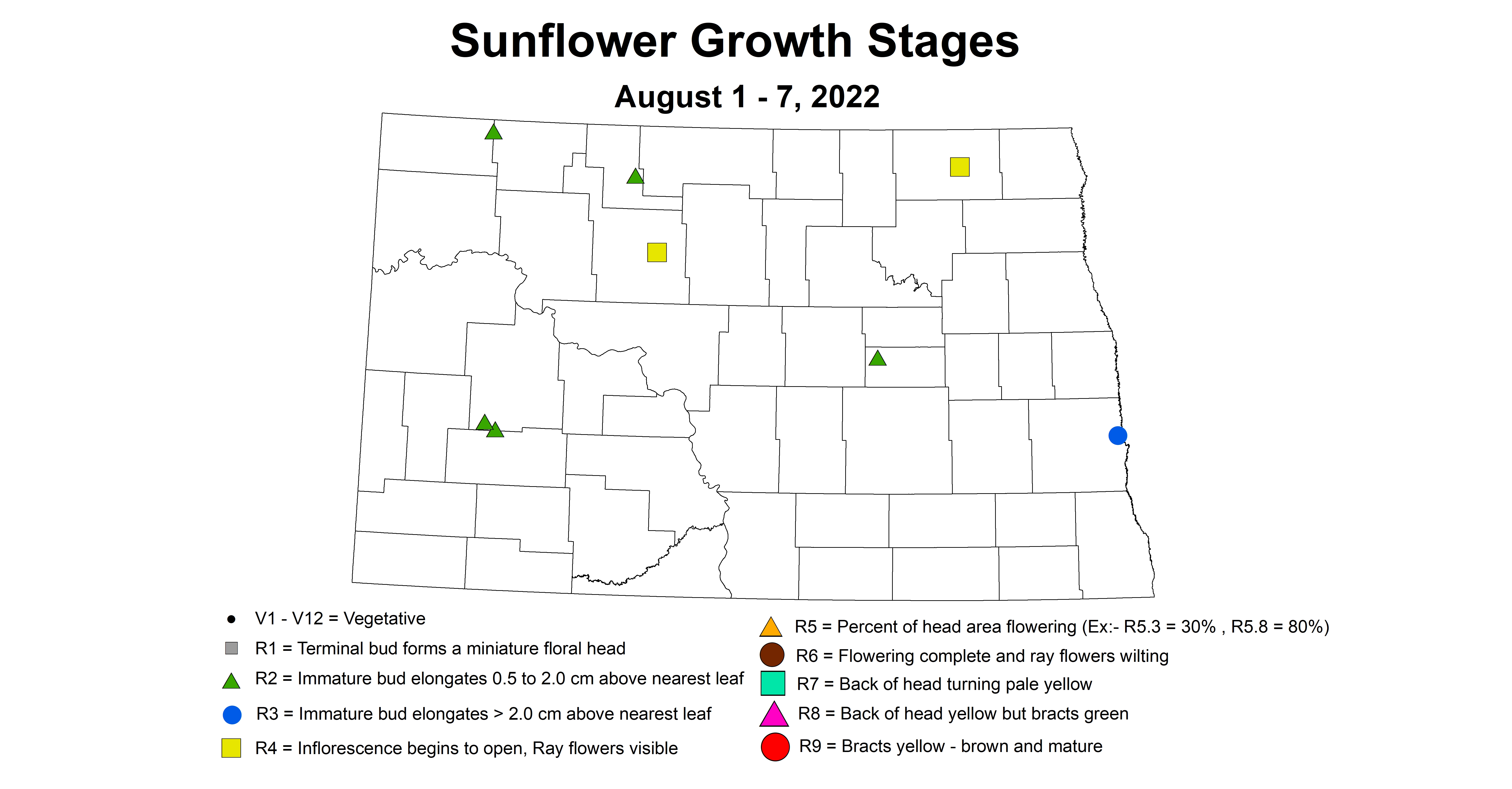 sunflower insecttrap growth stages 2022 8.1-8.7
