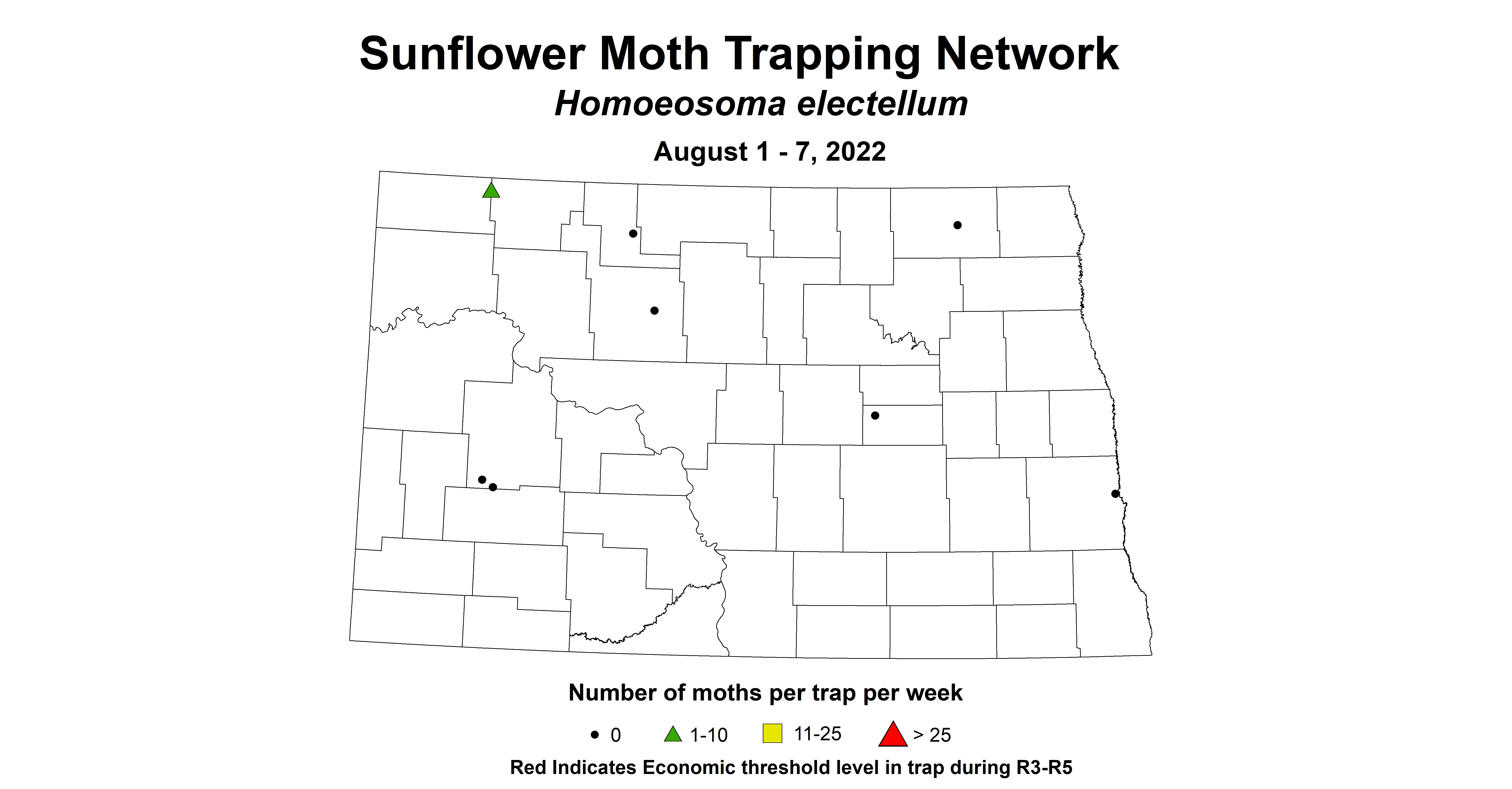 sunflower insecttrap sunflower moth 2022 8.1-8.7.jpg