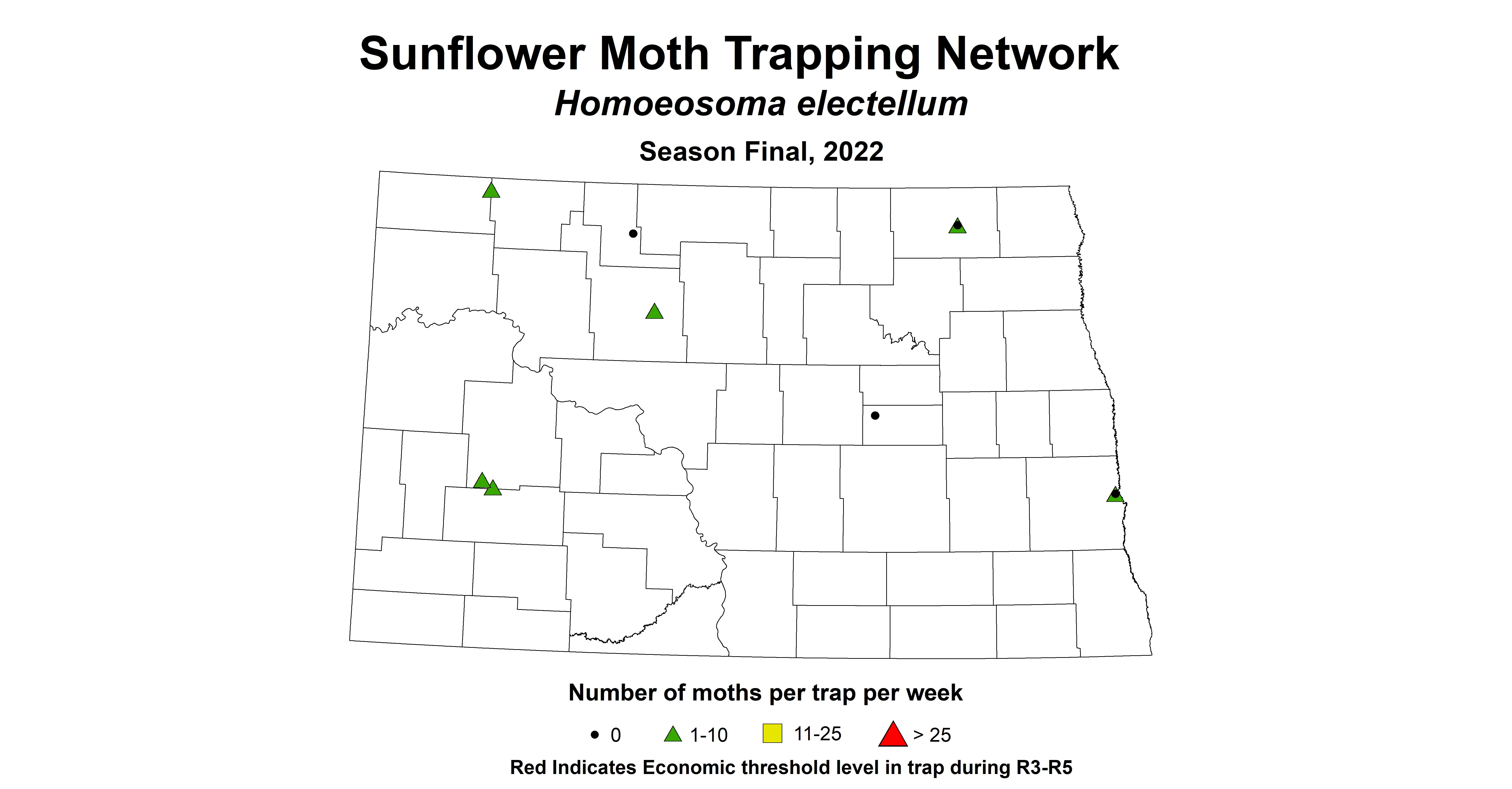 sunflower insecttrap sunflower moth 2022 season final