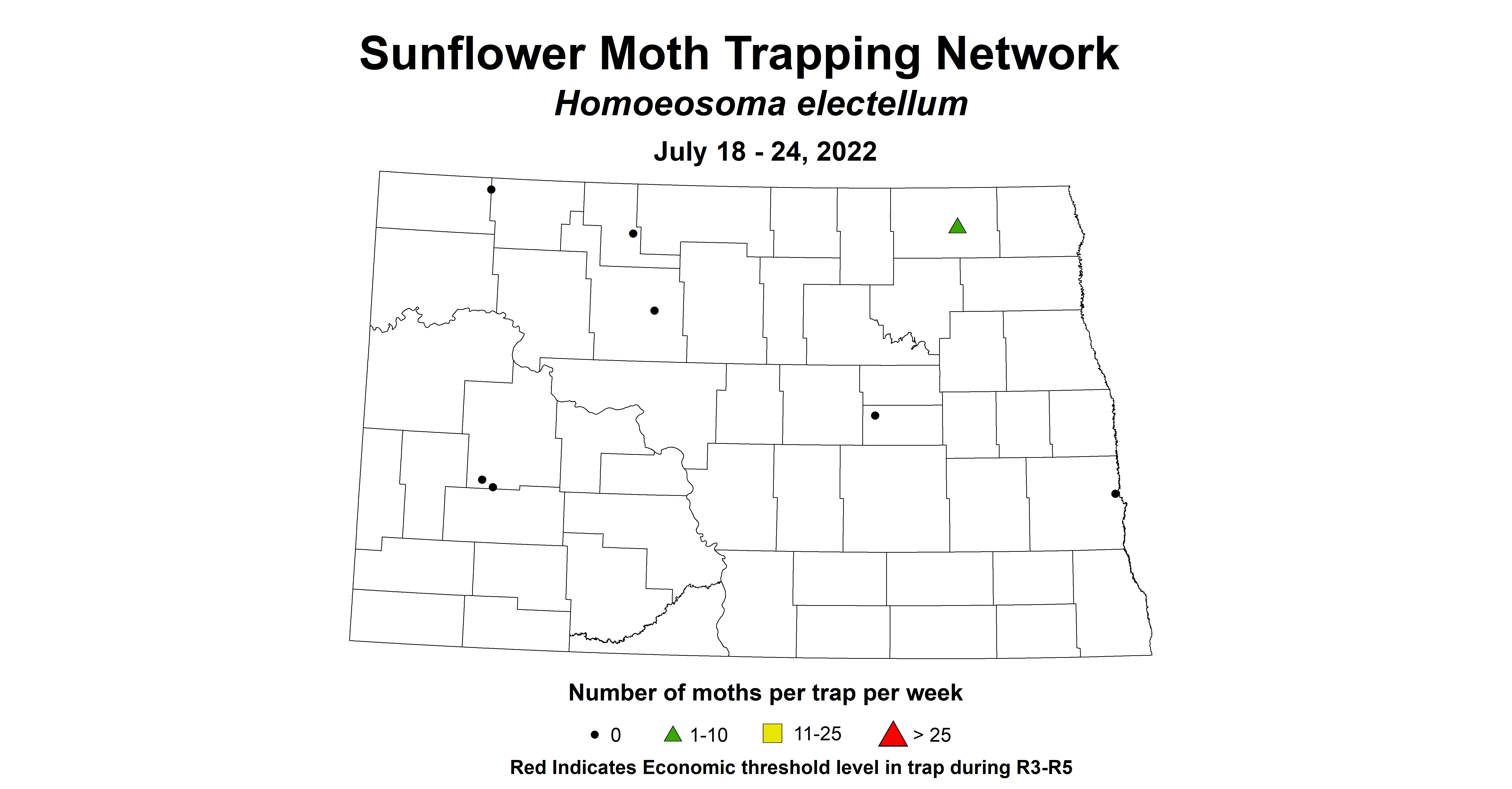 sunflower moth 2022 7.18-7.24 corrected.jpg