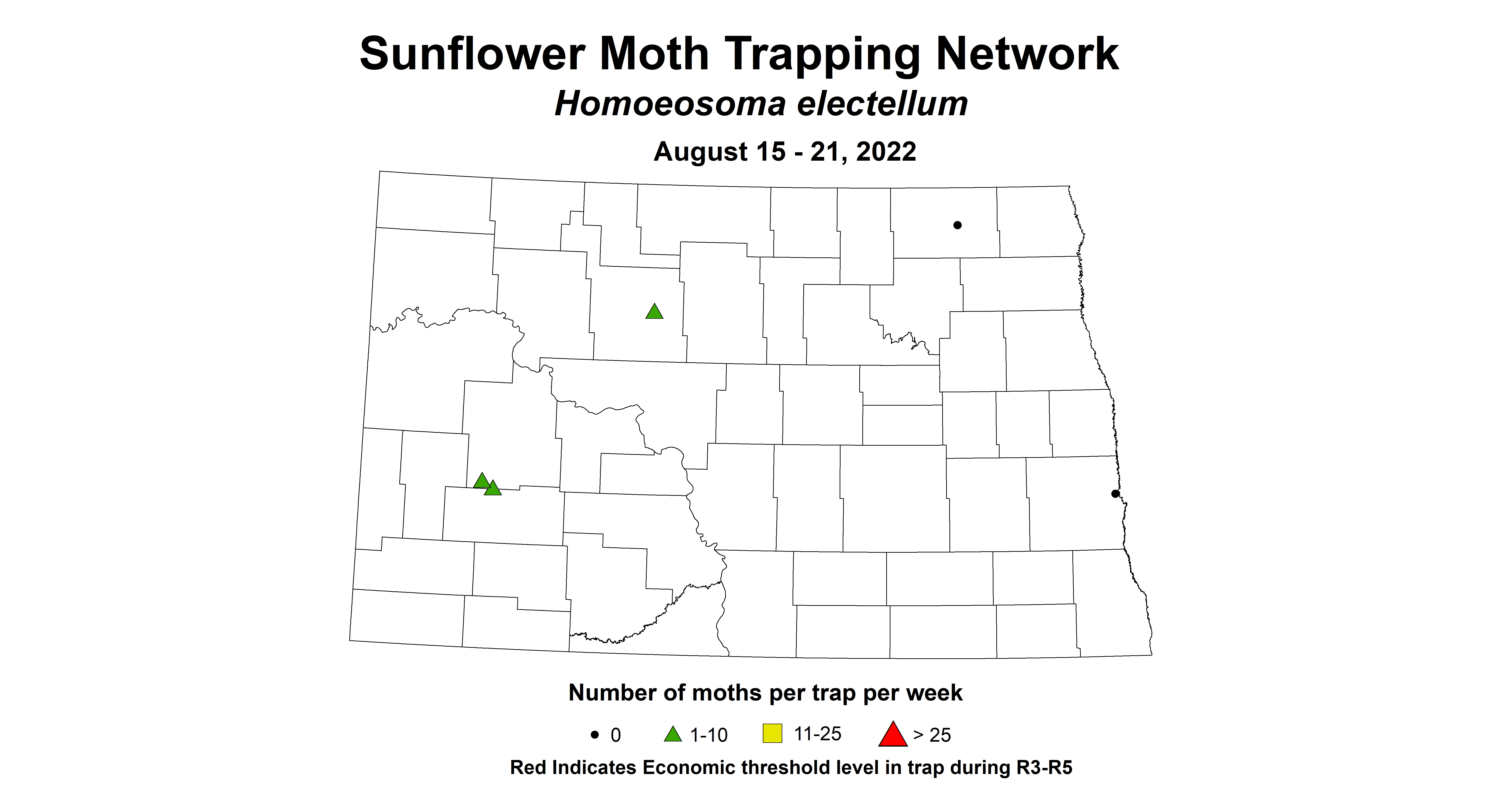 sunflower moth 2022 8.15-8.21.jpg