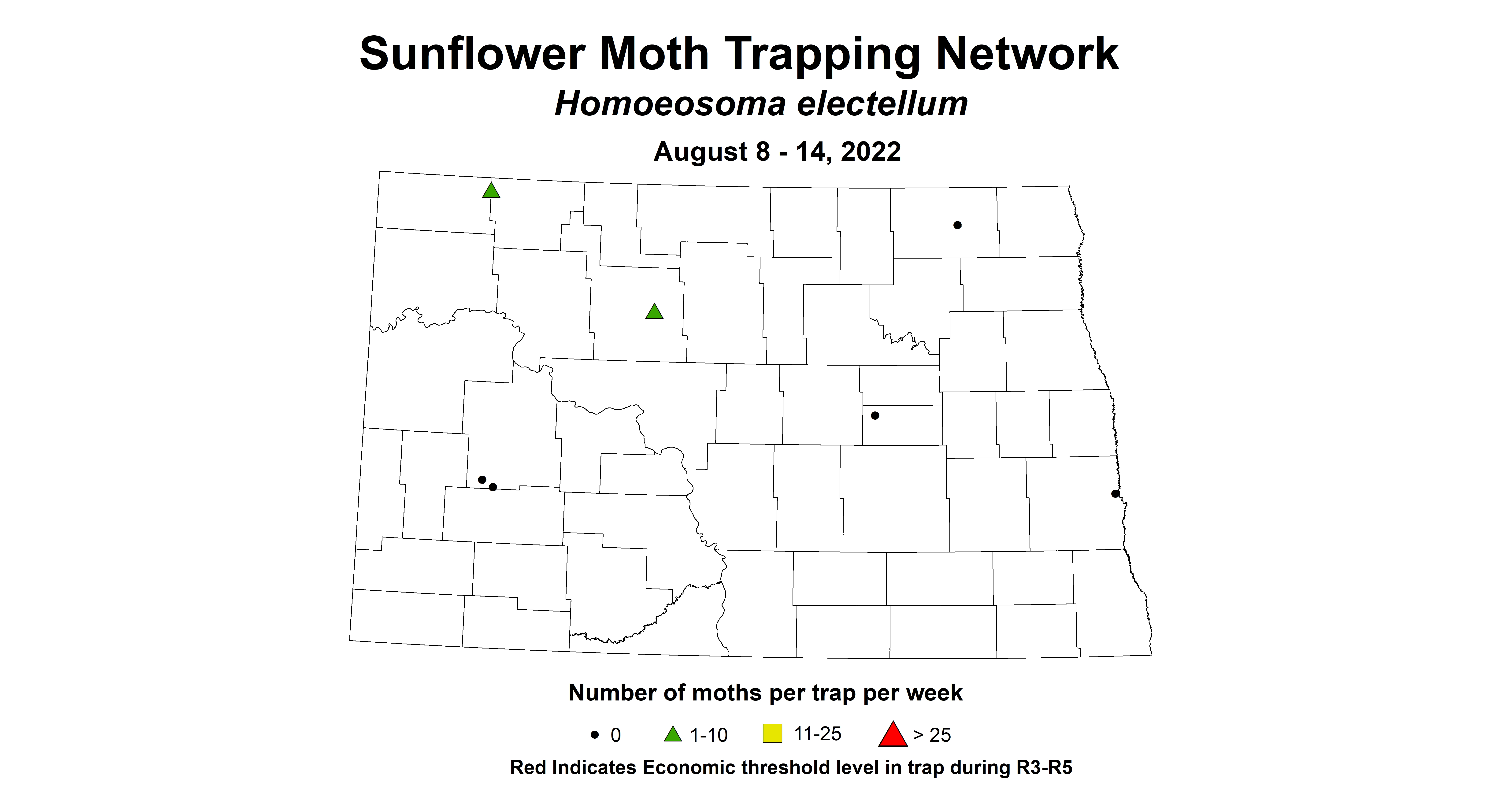 sunflower moth 2022 8.8-8.14