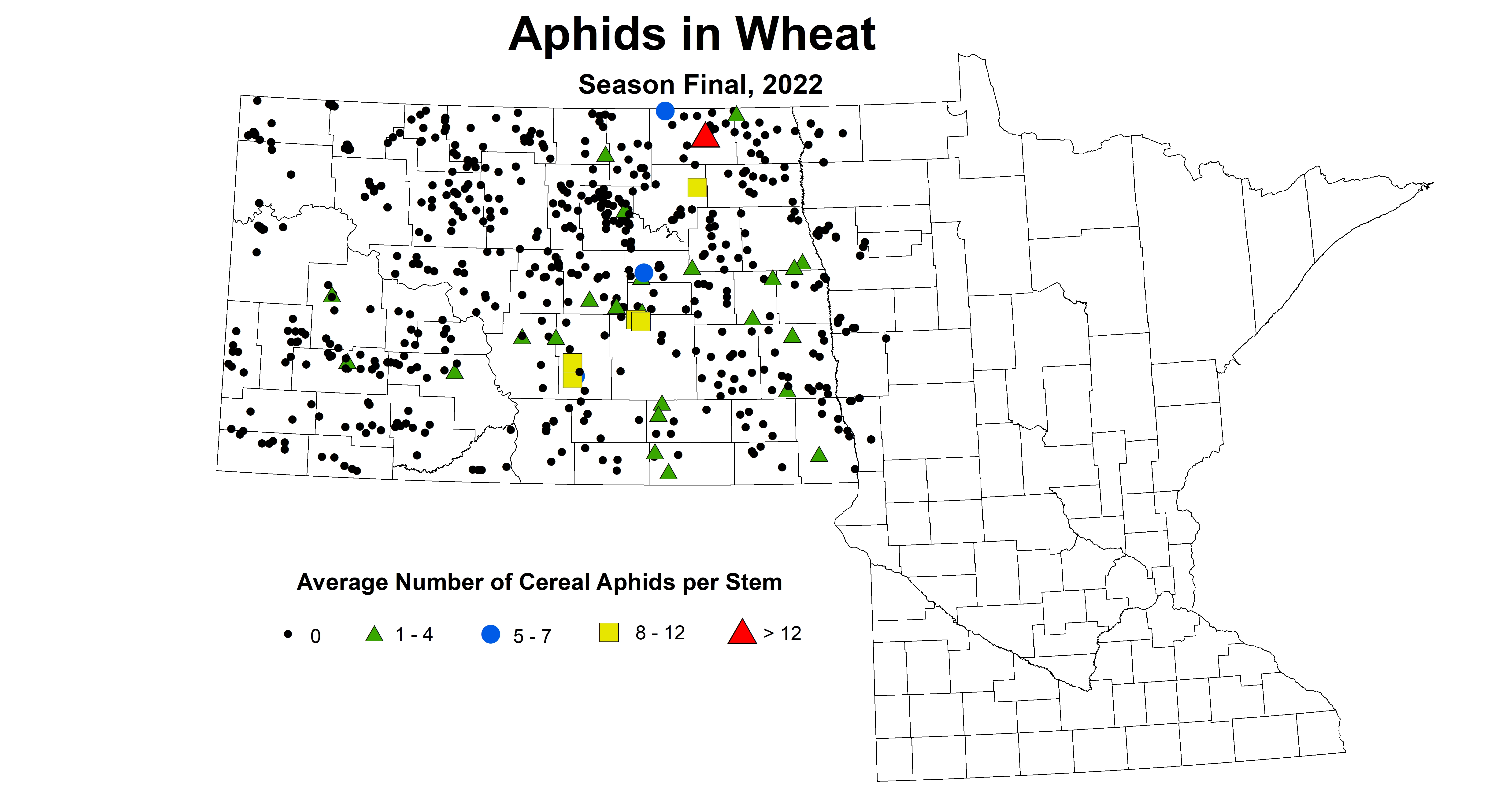 wheat aphids 2022 season final