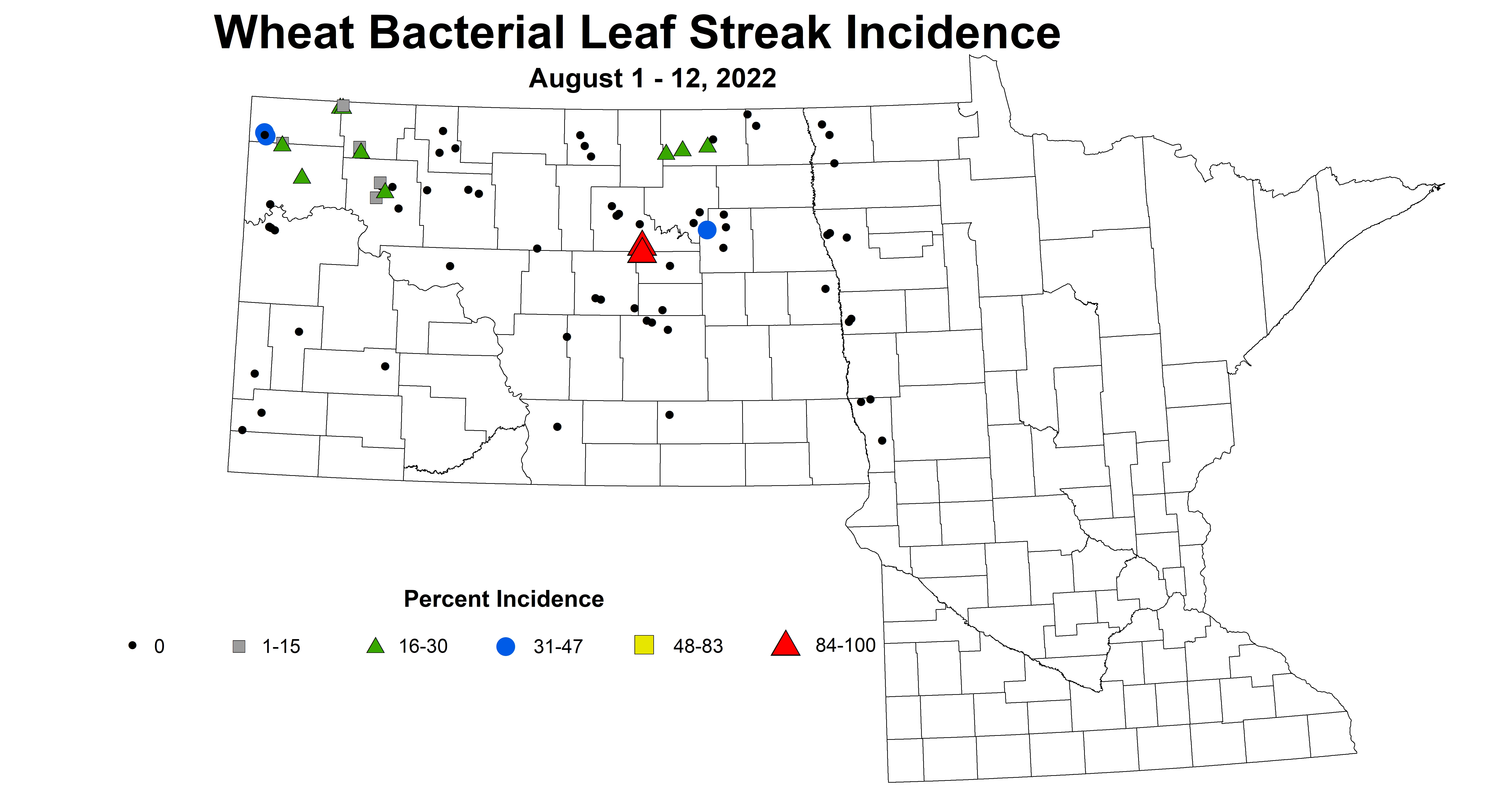 wheat bacterial leaf sreak incidence 2022 8.1-8.12