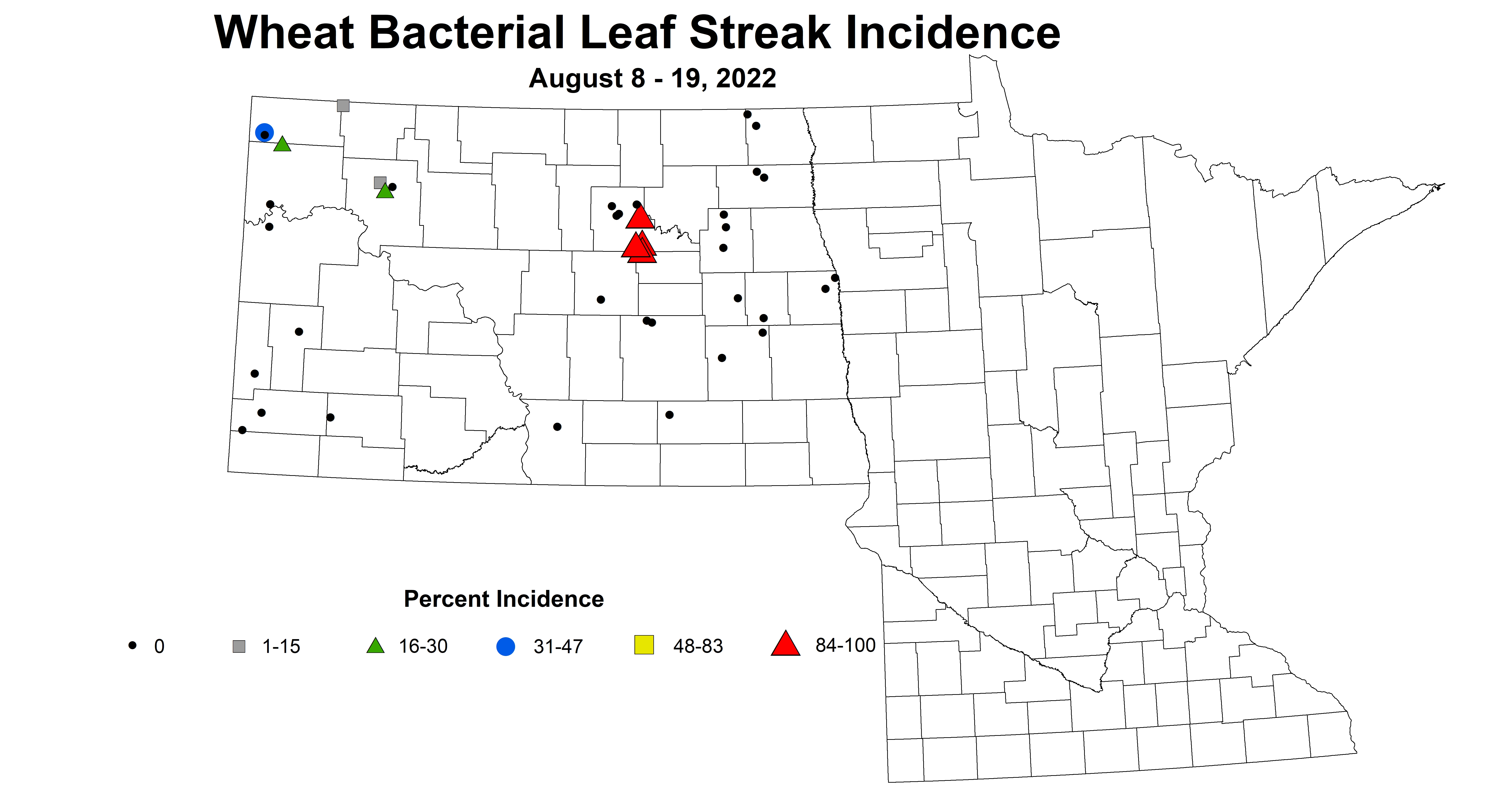 wheat bacterial leaf streak incidence 2022 8.8-8.19.jpg