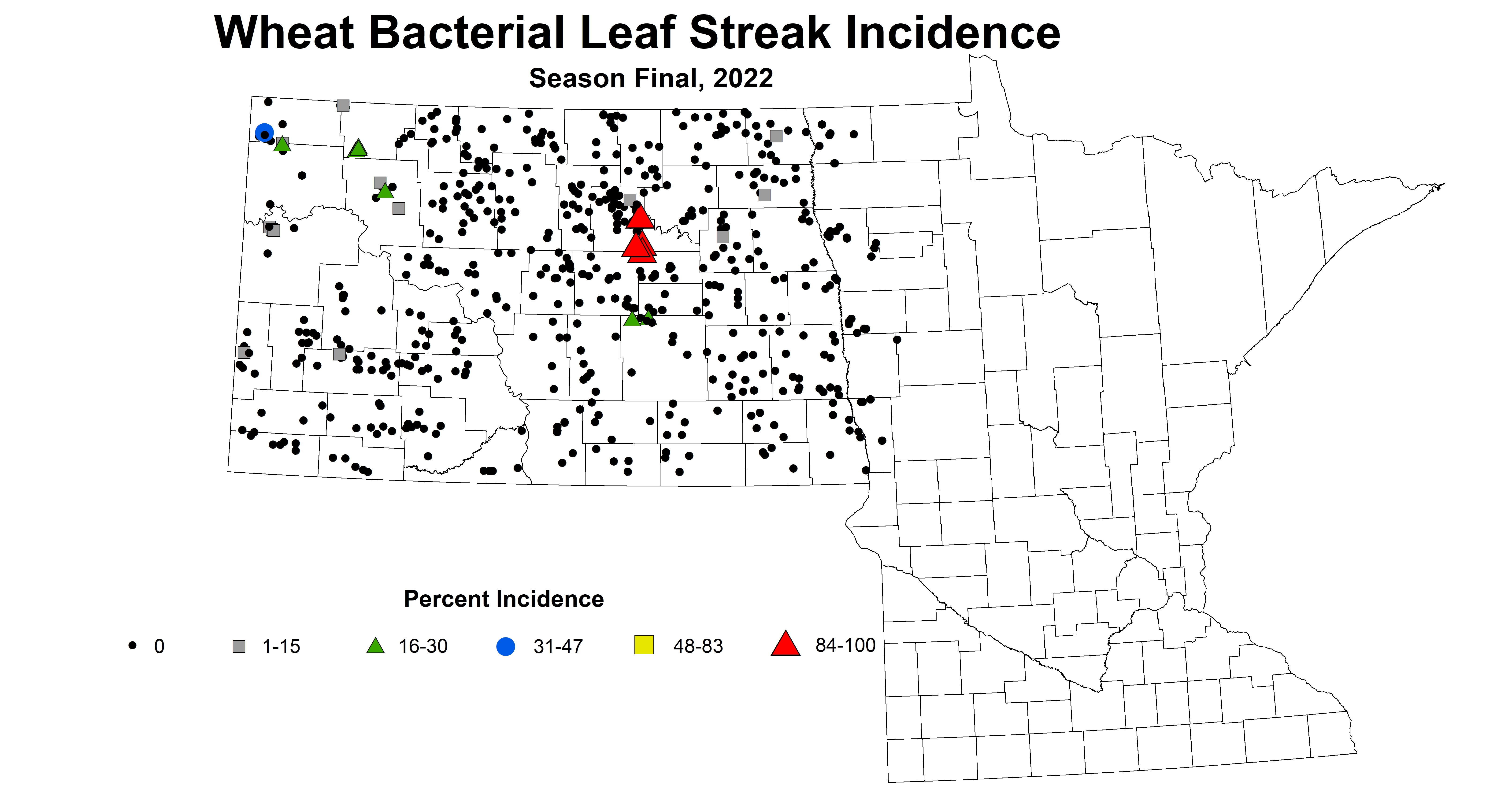 wheat bacterial leaf streak incidence 2022 season final