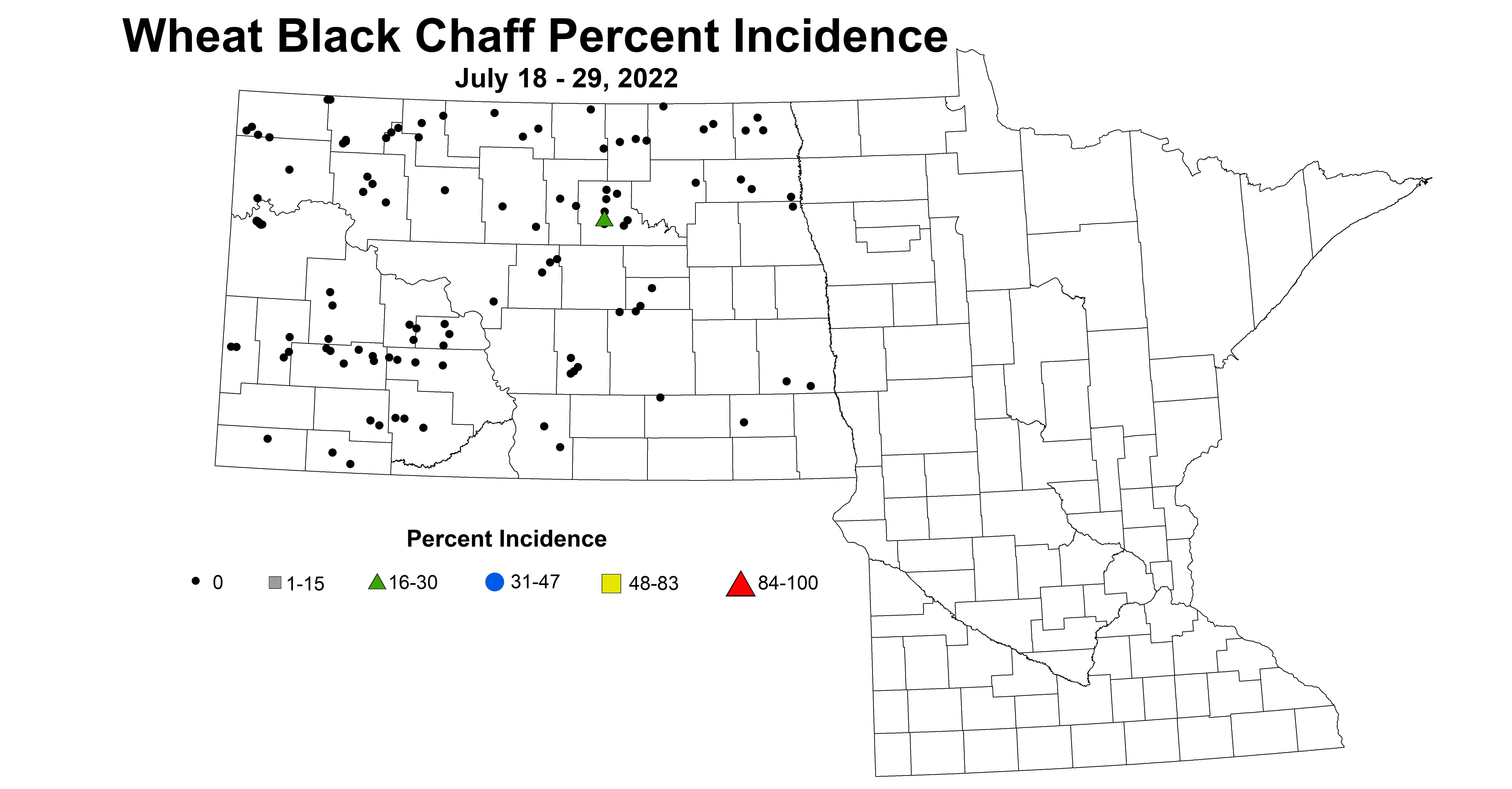 wheat black chaff incidence 2022 7.18-7.29.jpg