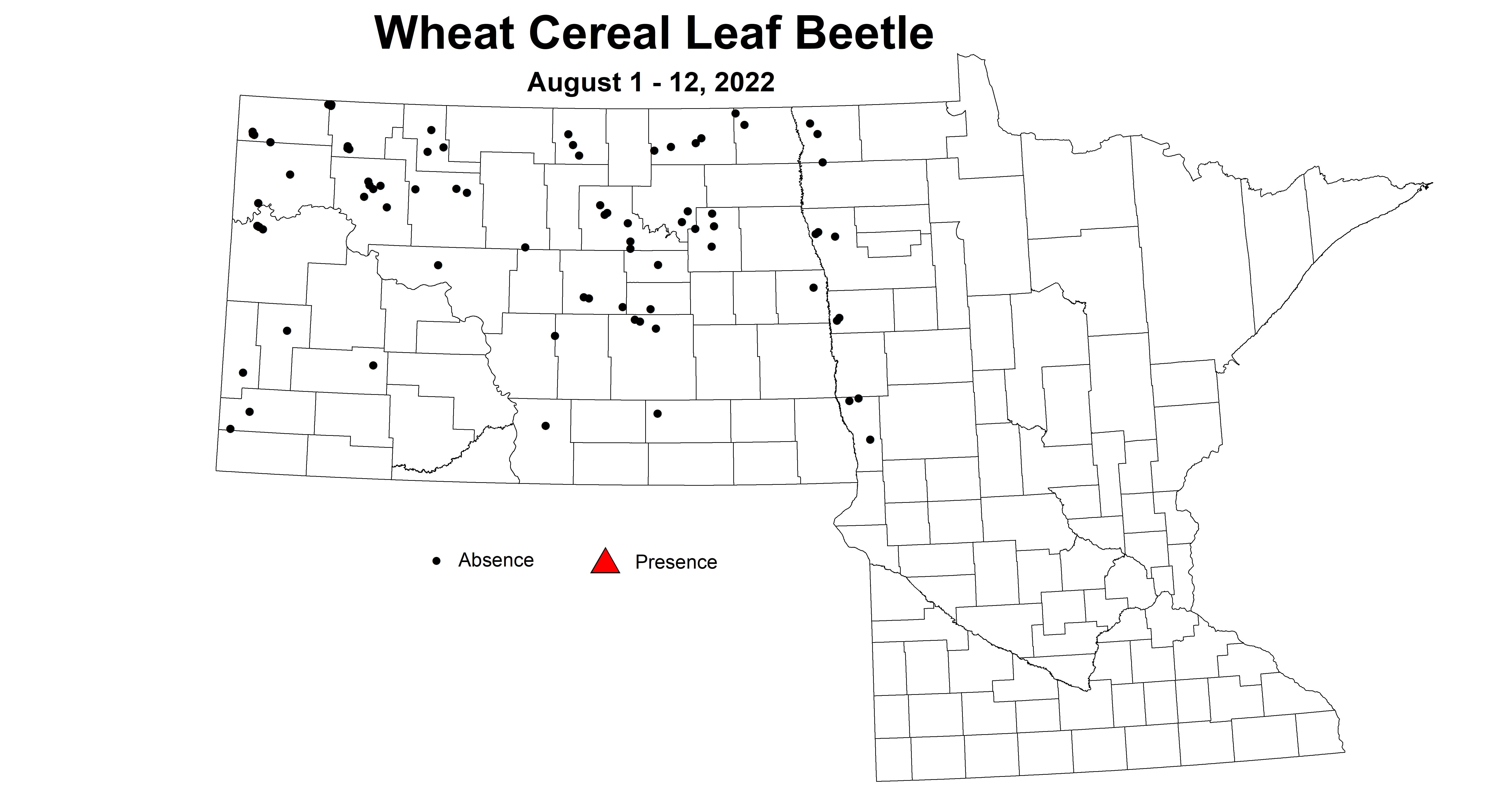 wheat cereal leaf beetle 2022 8.1-8.12
