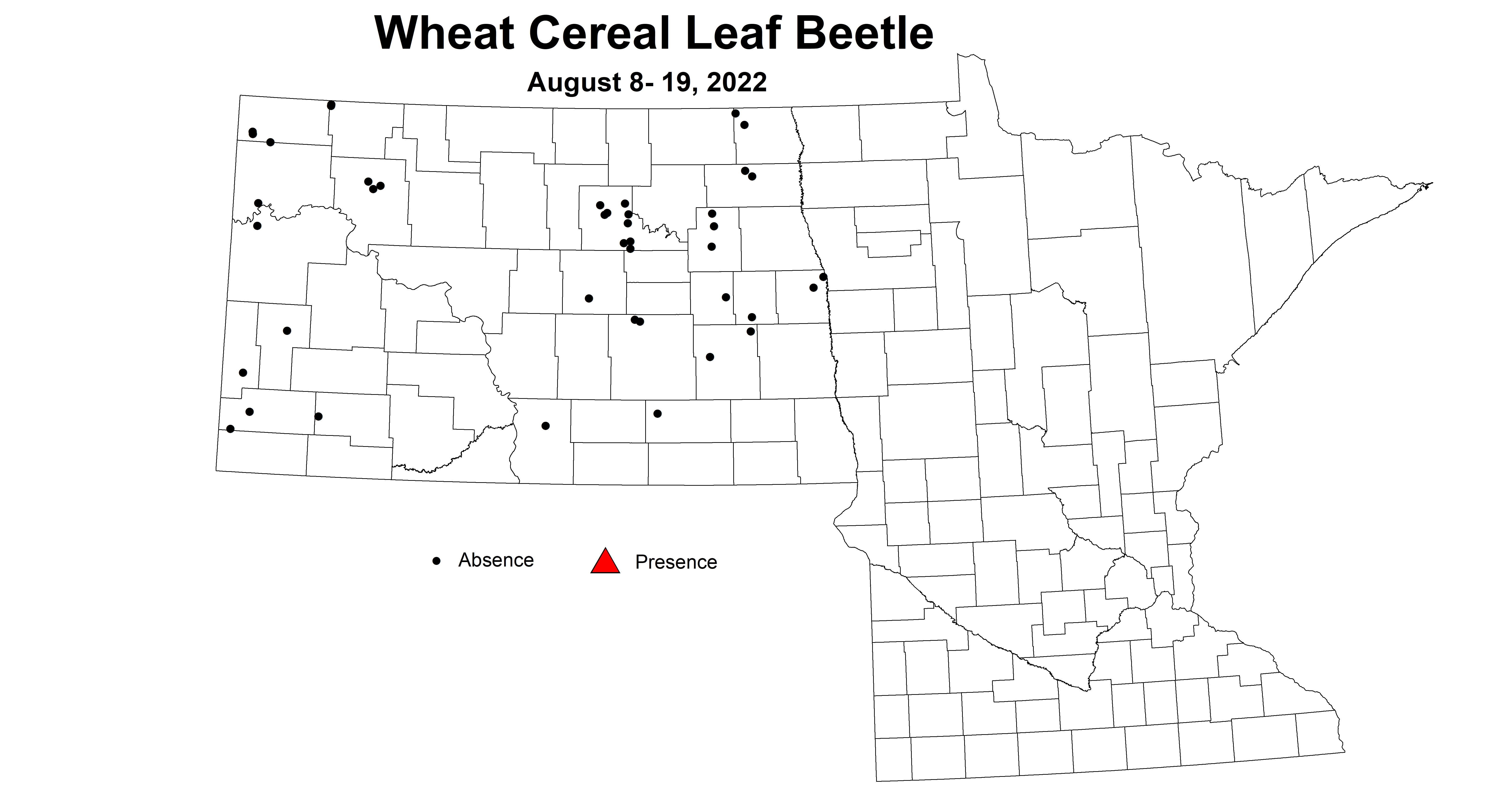 wheat cereal leaf beetle 2022 8.8-8.19.jpg