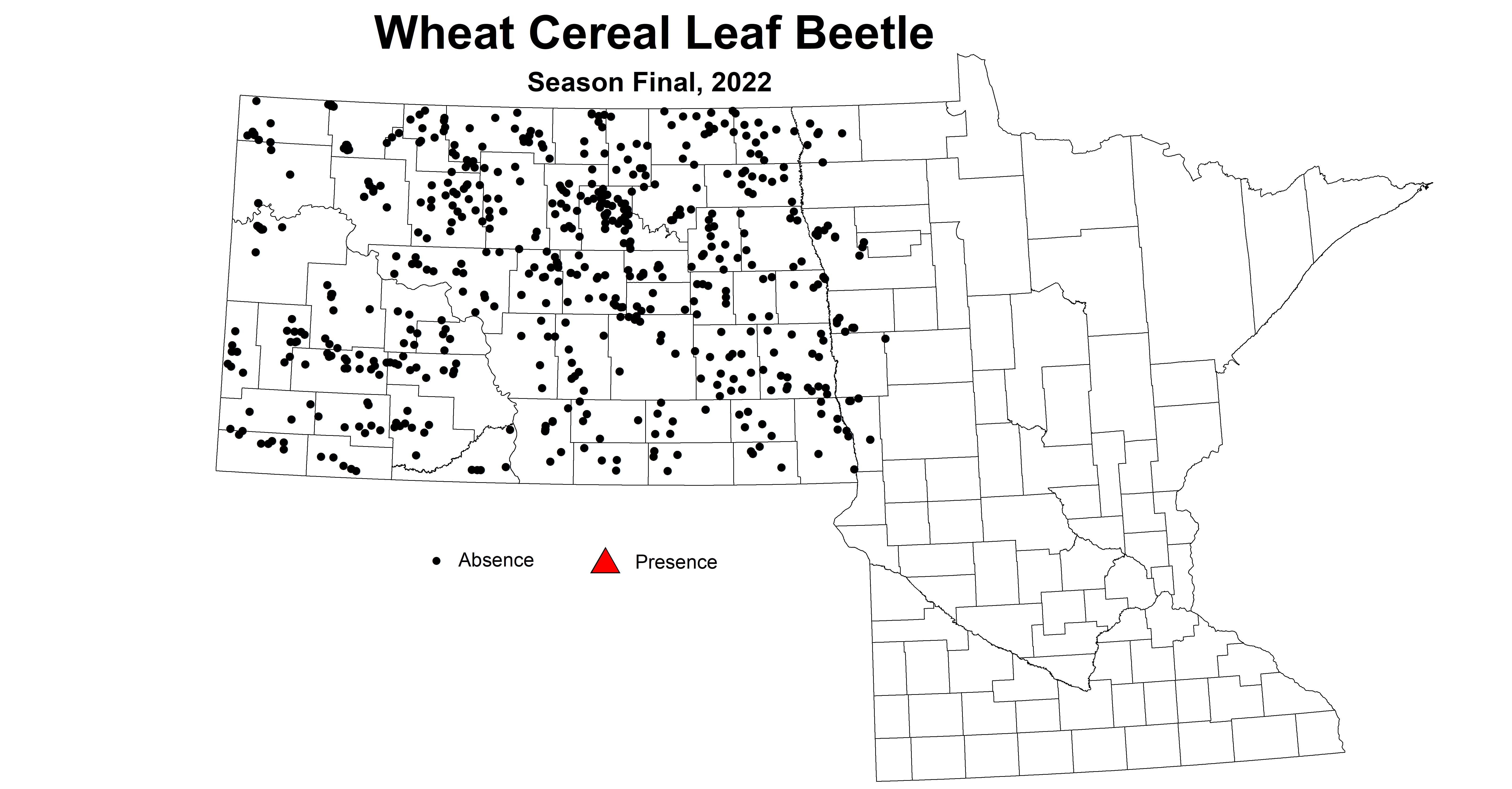 wheat cereal leaf beetle 2022 season final
