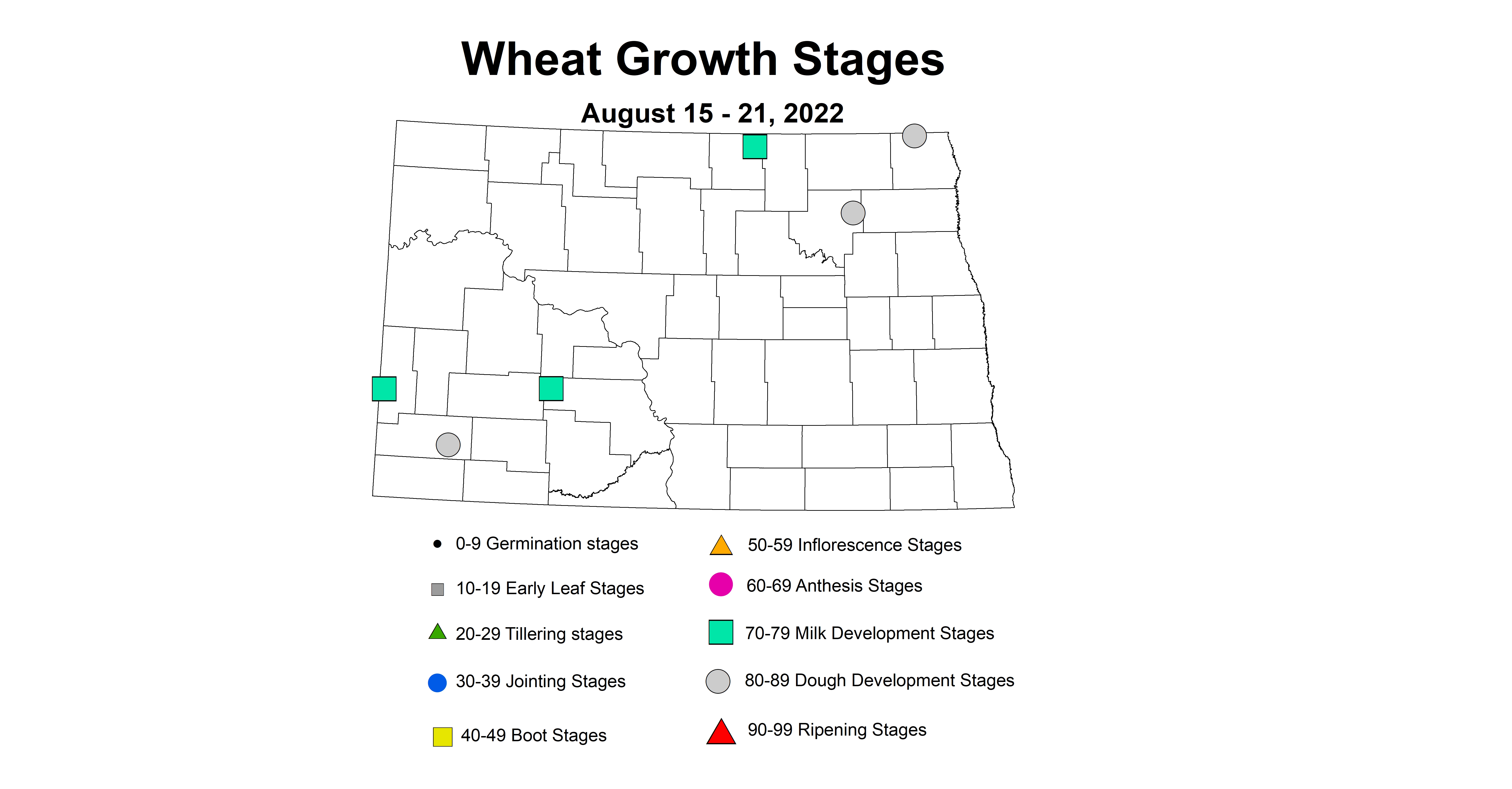 wheat growth stage 2022 8.15-8.21