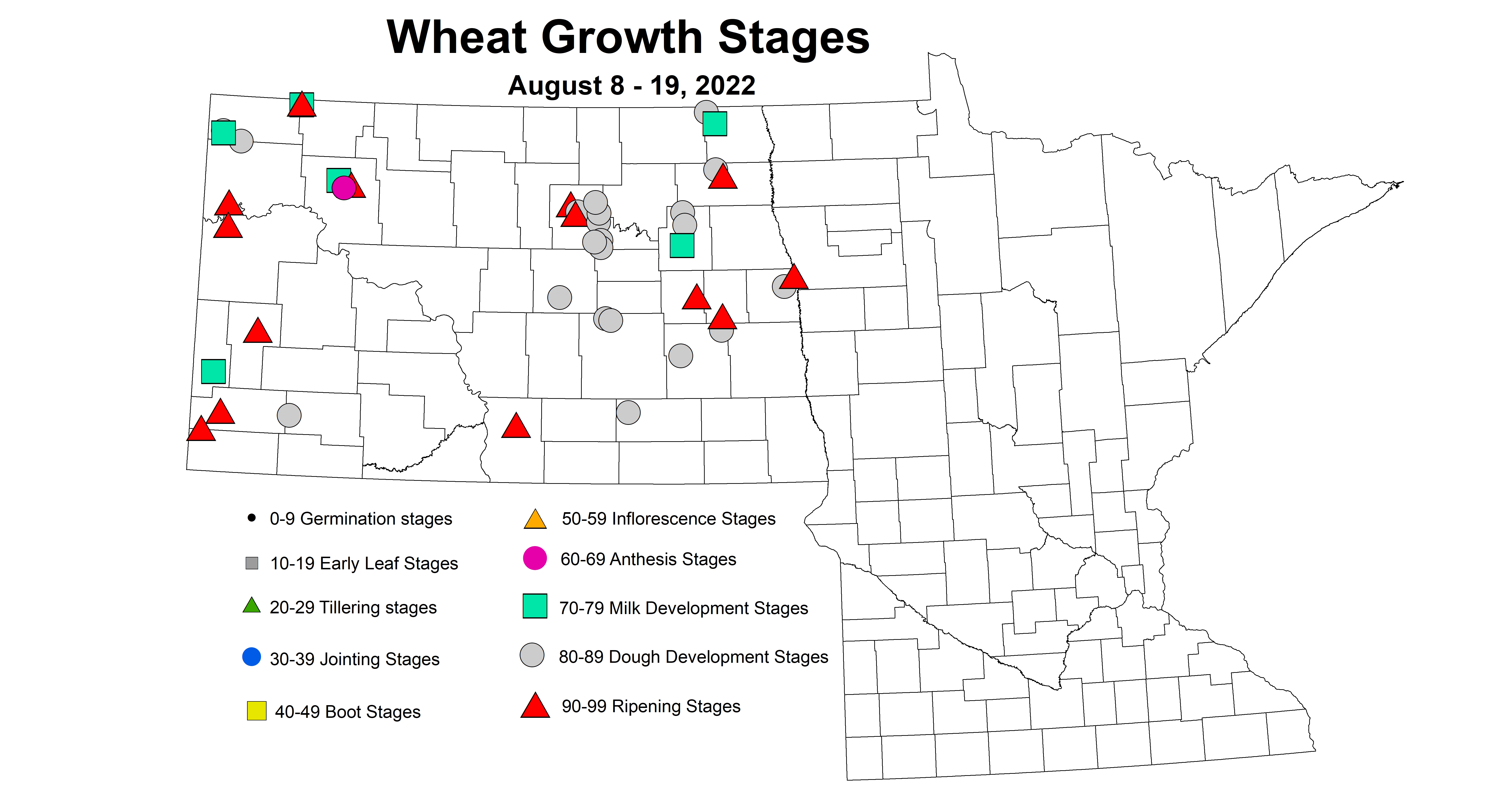 wheat growth stage 2022 8.8-8.19.jpg