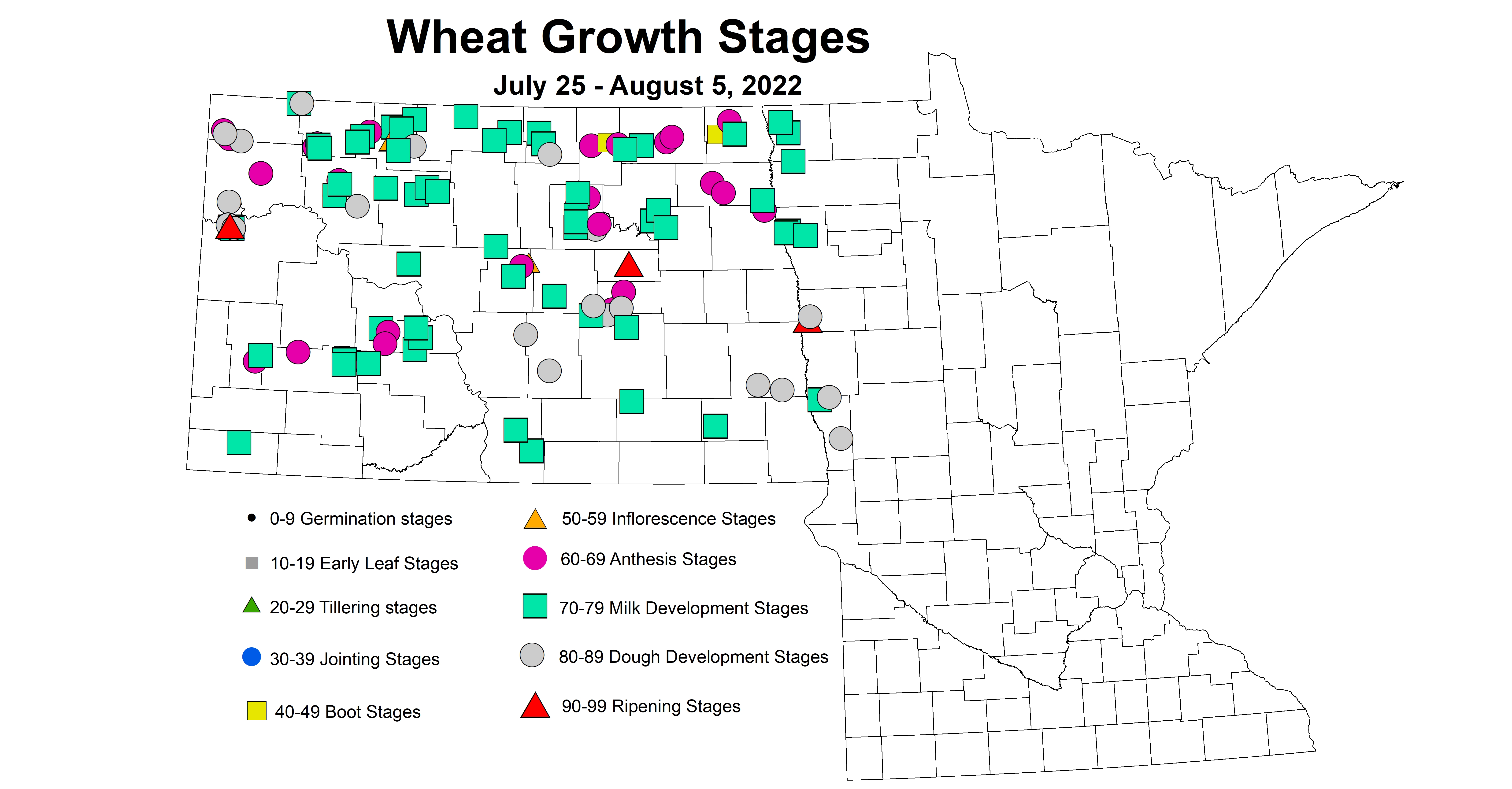 wheat growth stages 2022 7.25-8.5