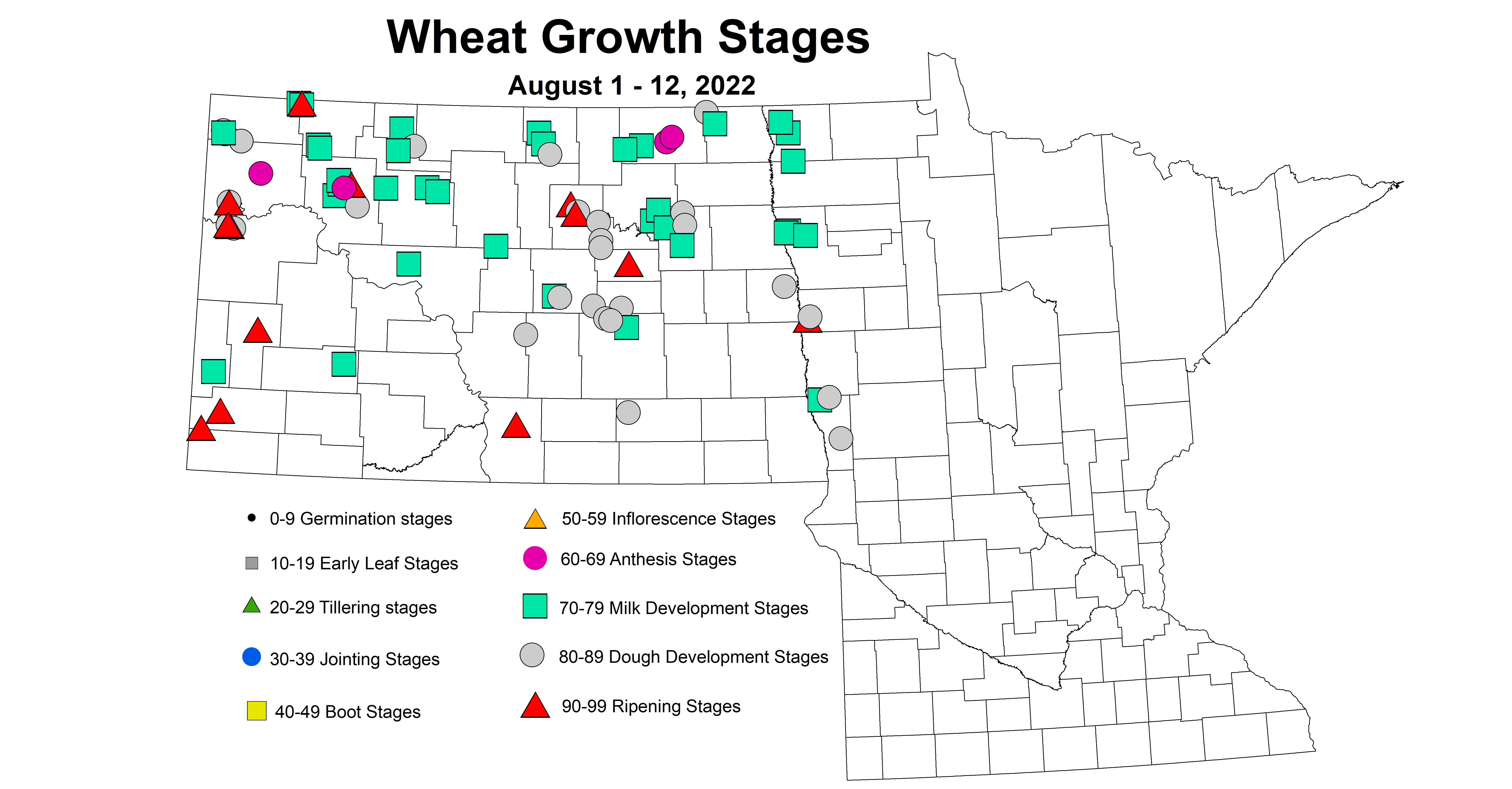 wheat growth stages 2022 8.1-8.12