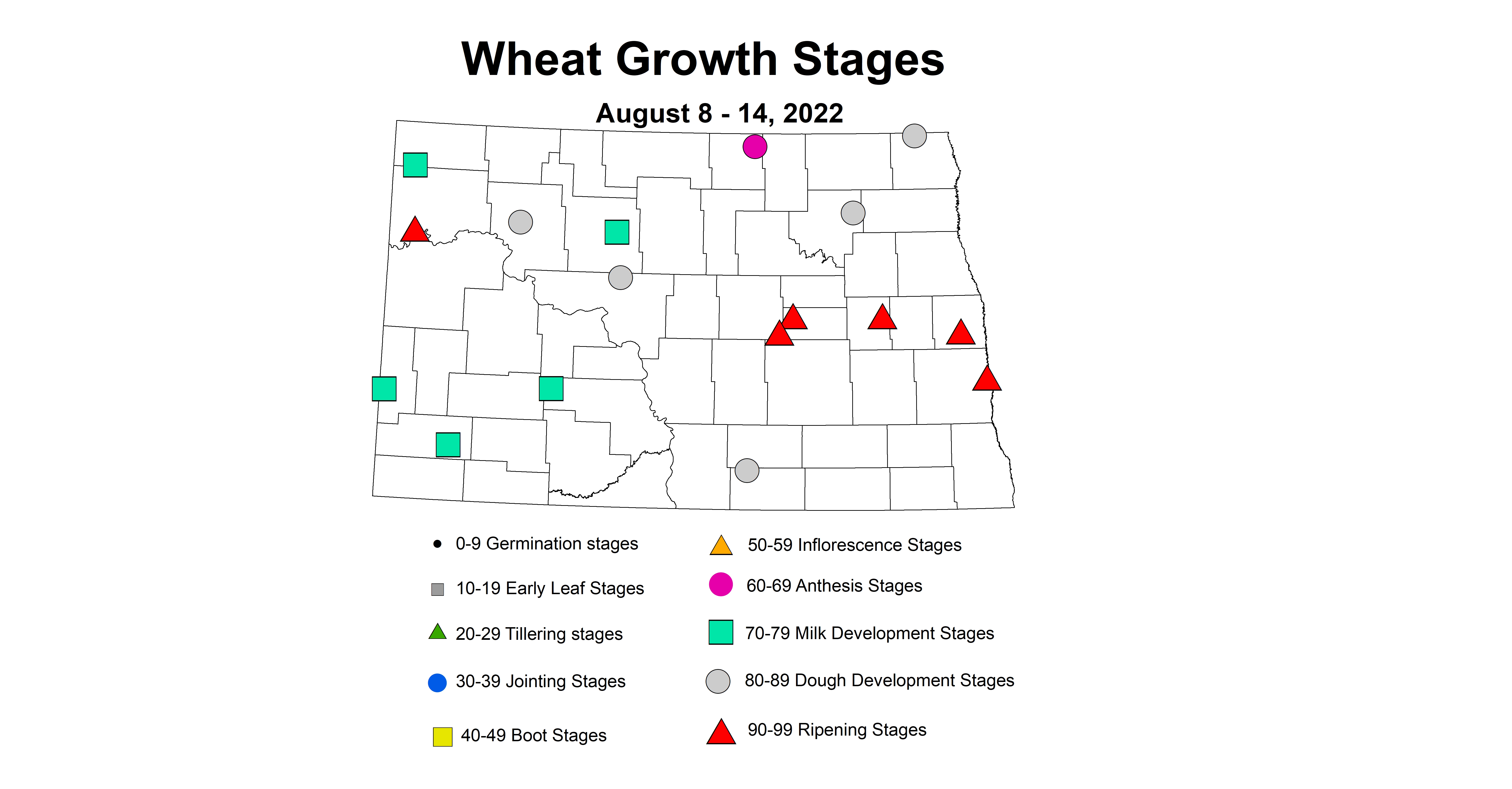 wheat growth stages 2022 8.8-8.14