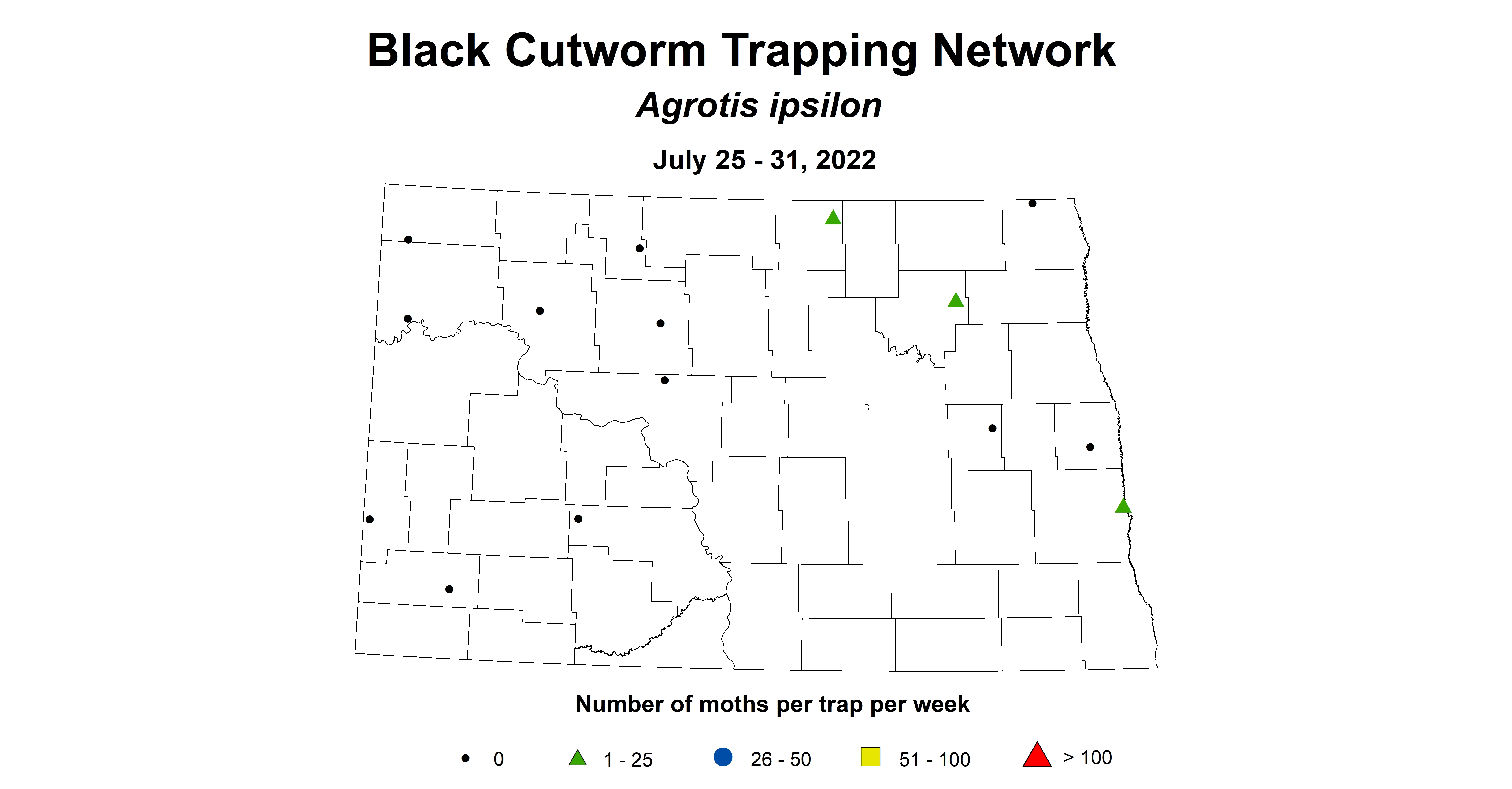 wheat insecttrap black cutworm 2022 7.25-7.31.jpg