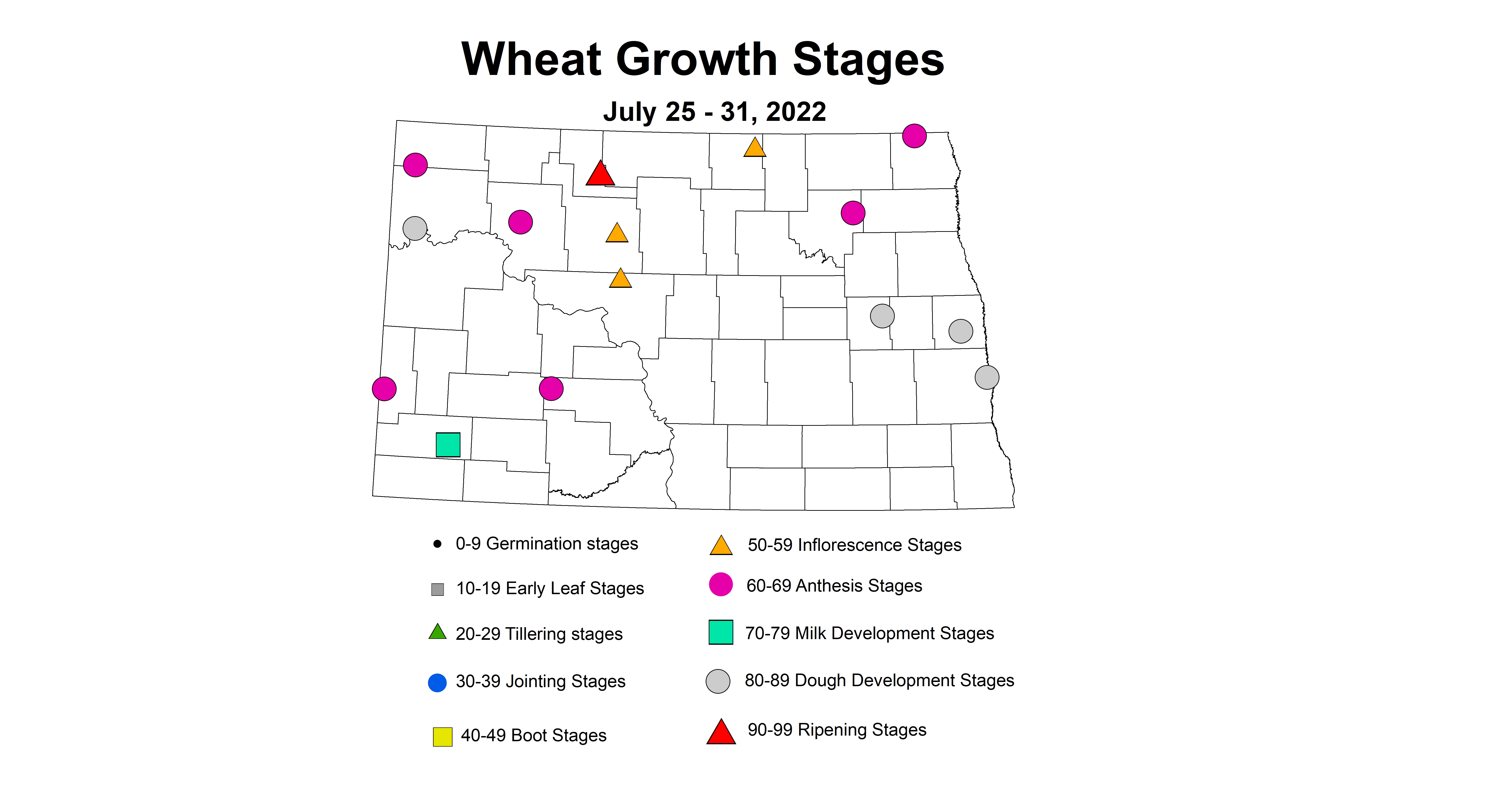 wheat insecttrap growth stages 2022 7.25-7.31.jpg
