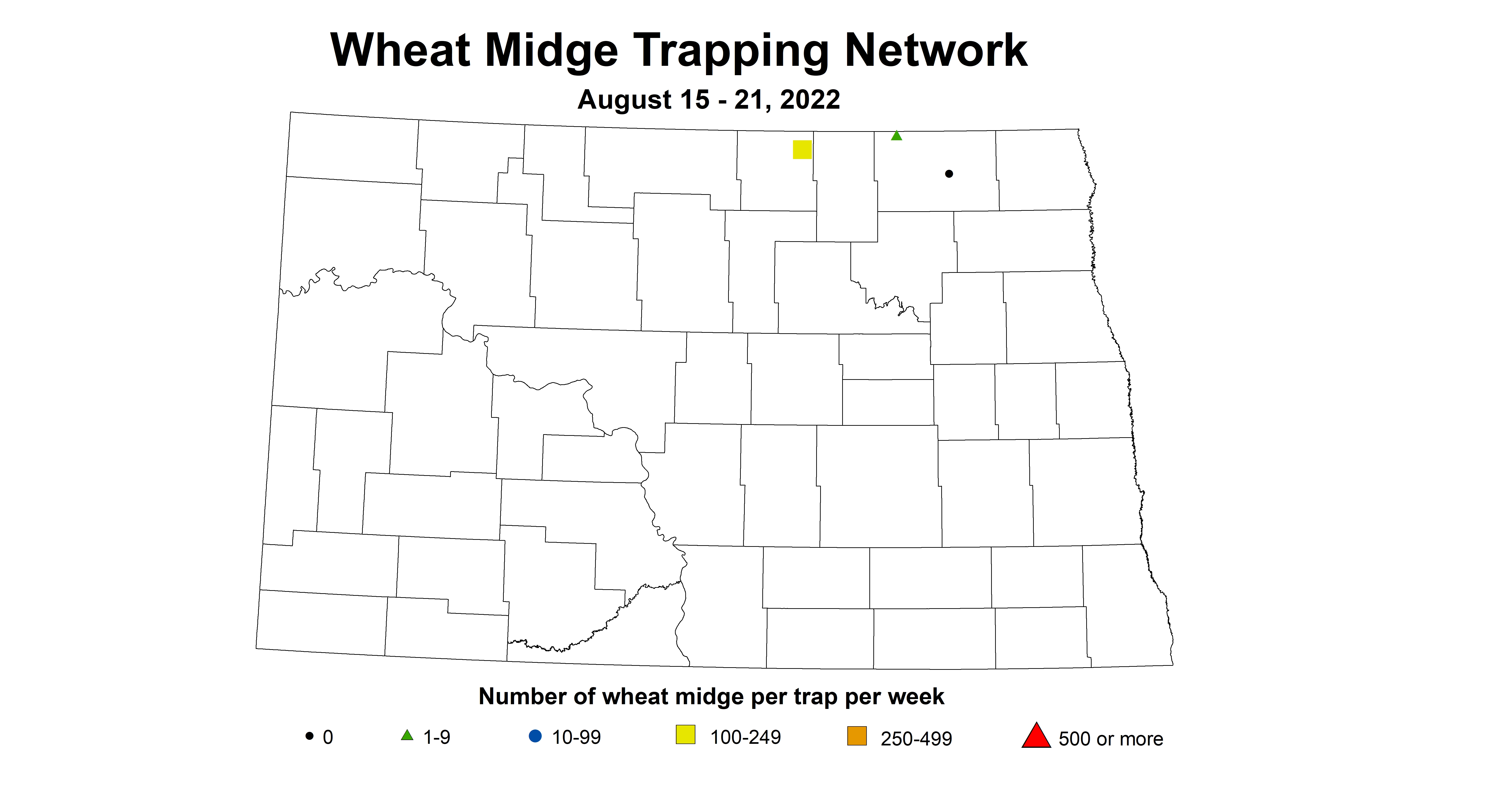 wheat midge 2022 8.15-8.21