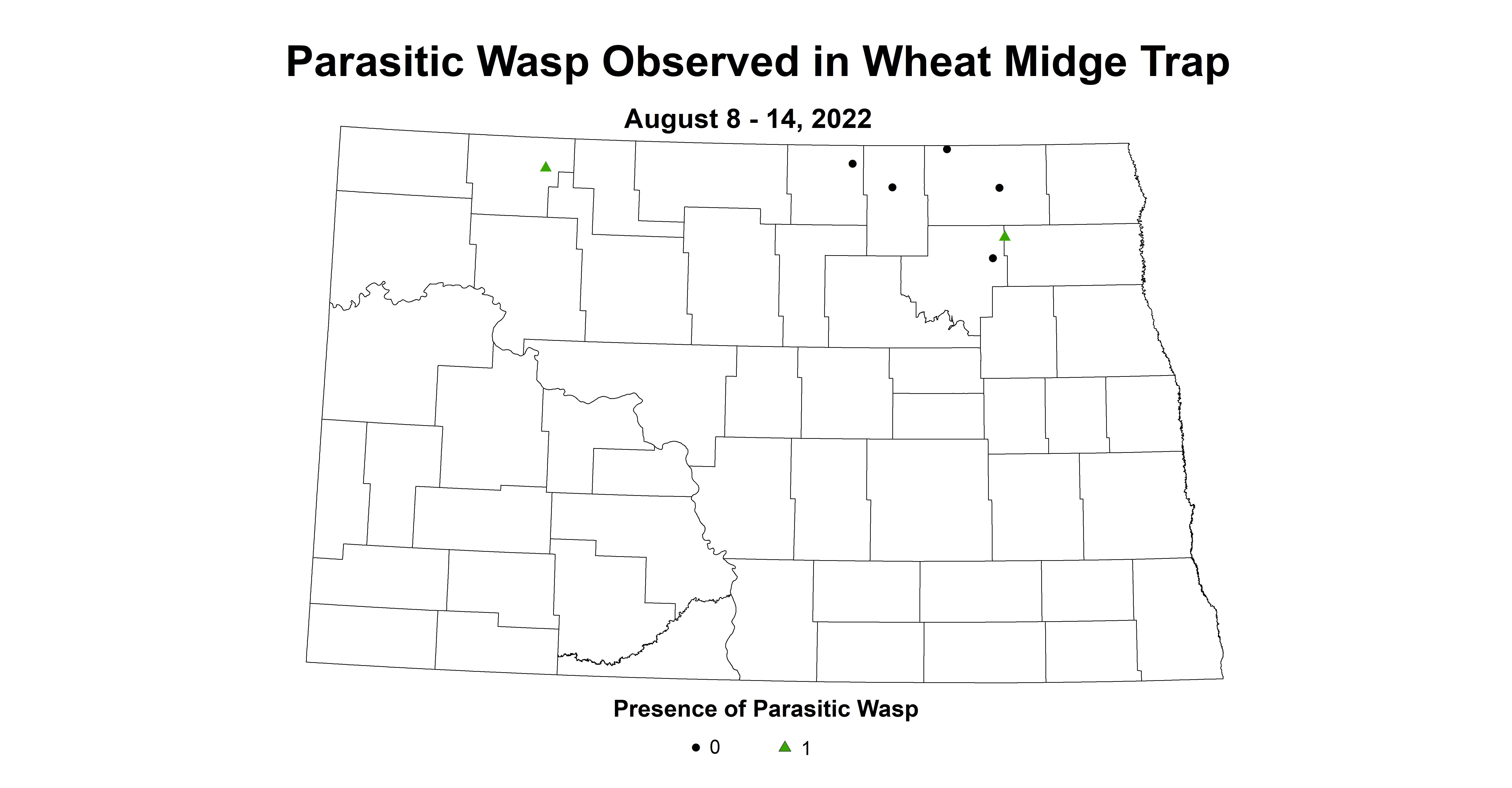 wheat midge parasitic wasp 2022 8.8-8.14