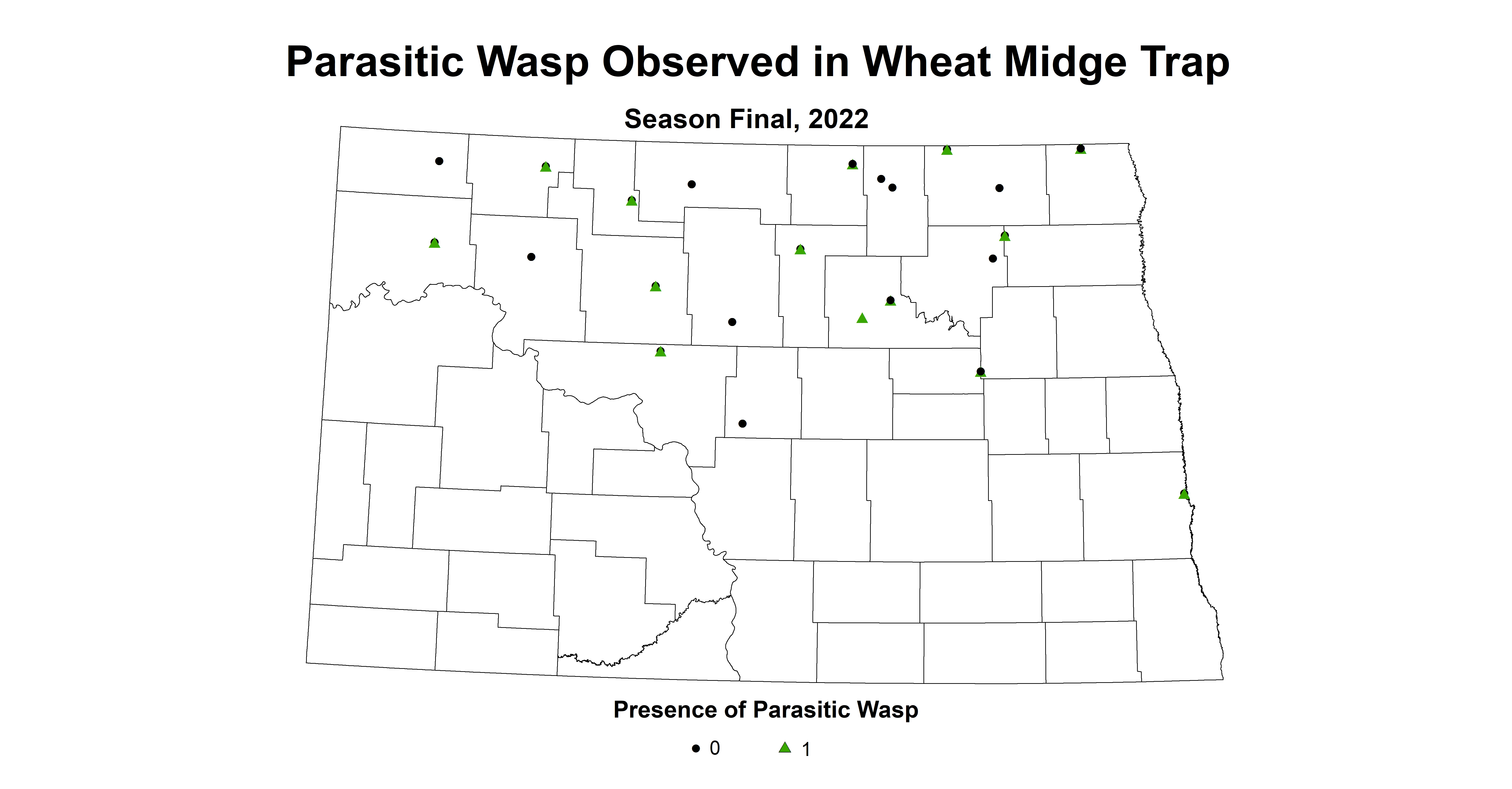 wheat midge parasitic wasp 2022 season final