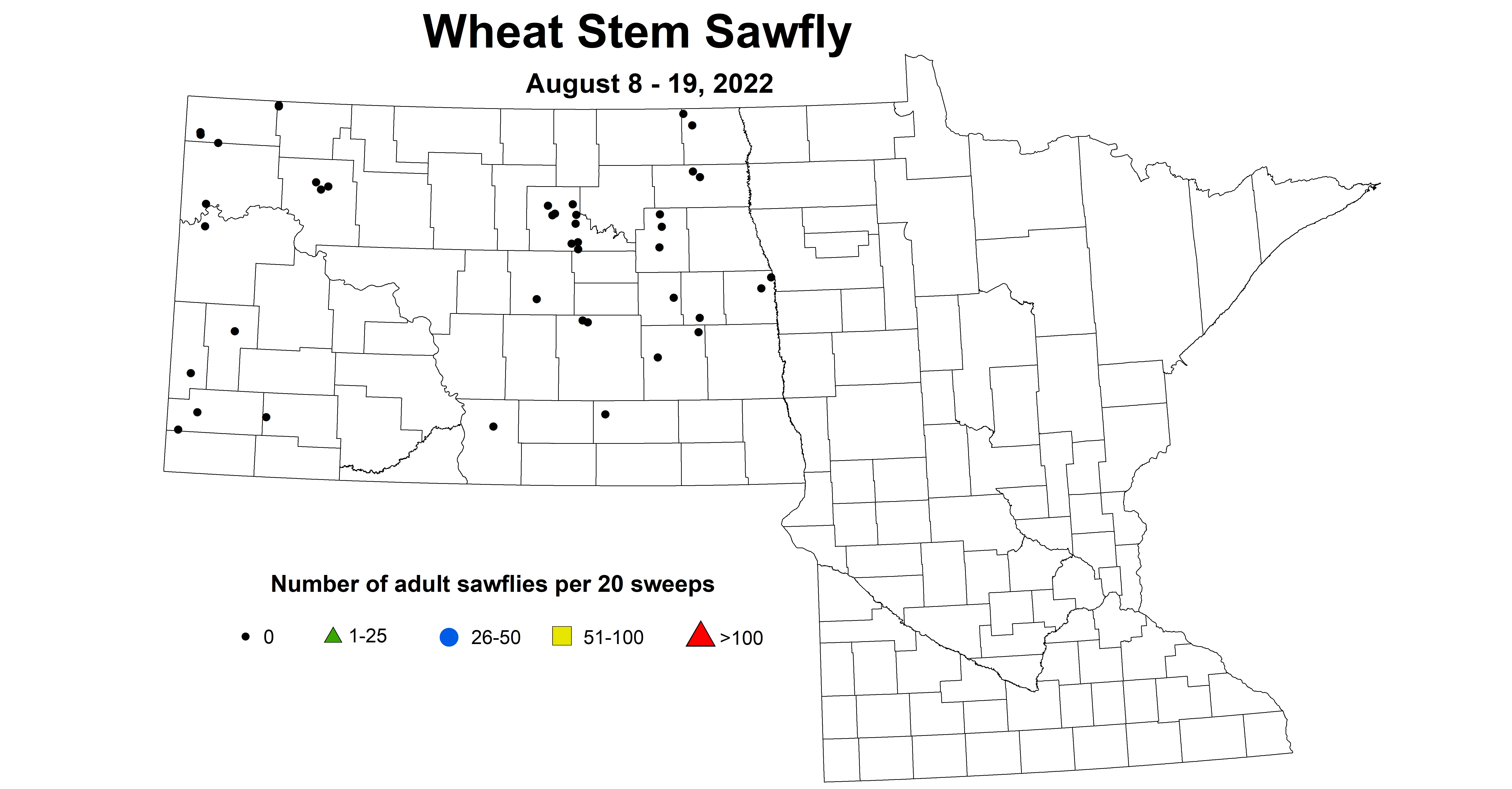 wheat sawfly 2022 8.8-8.19.jpg