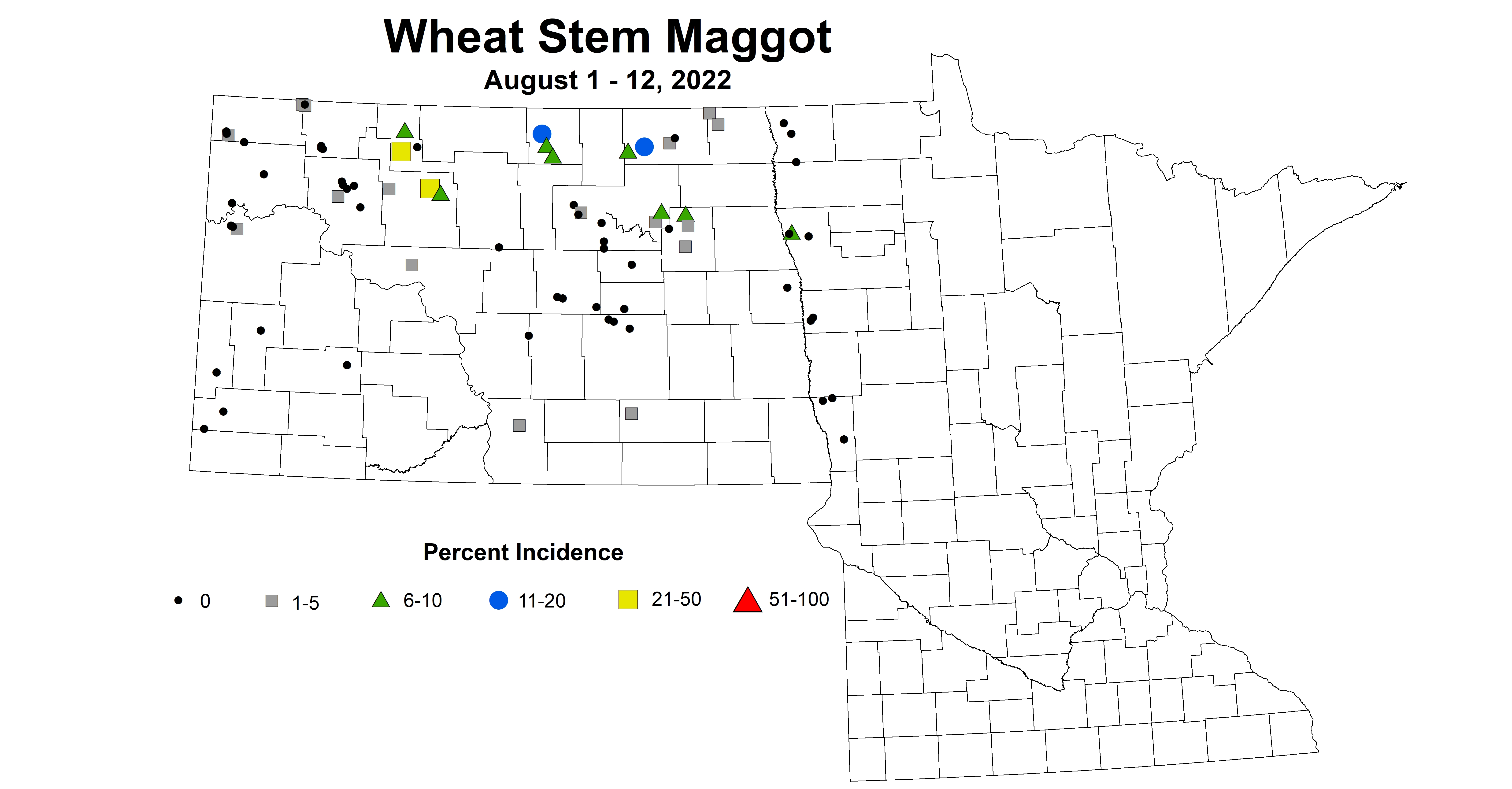 wheat stem maggot 2022 8.1-8.12