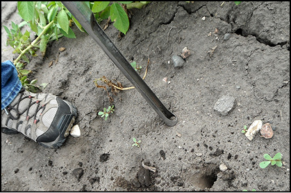 Standard soil probe. 