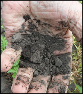 Dry soil with less than 50 percent of available water. 