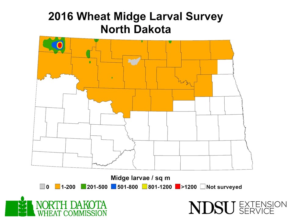 Map of North Dakota showing instances of wheat midge larvae in 2016