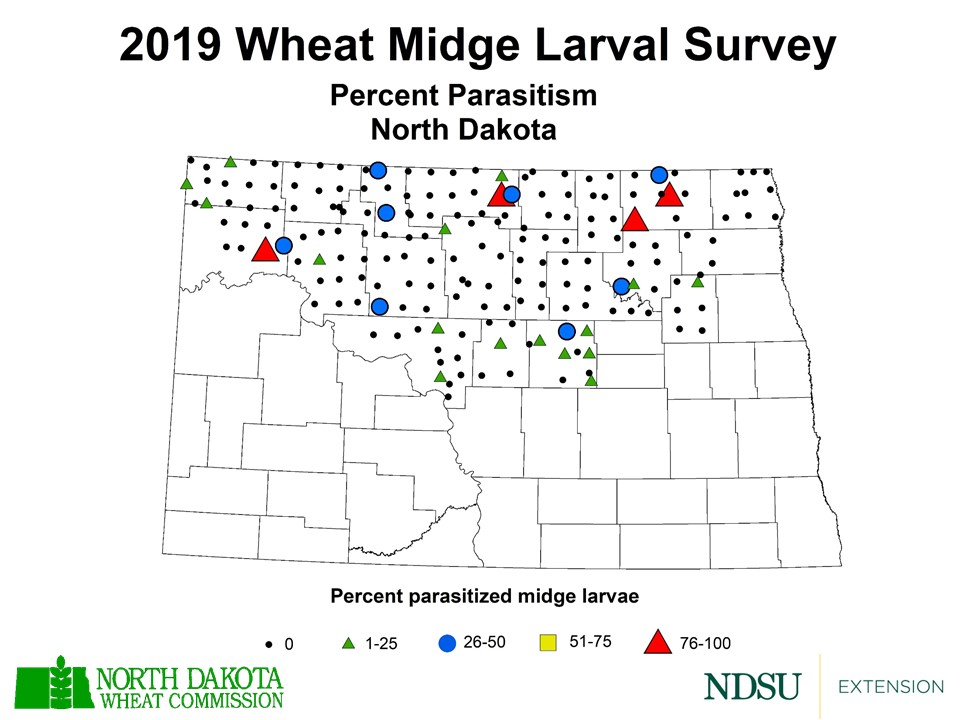 Map of North Dakota indicating percent of parasitism in 2019 survey of wheat midge larvae.