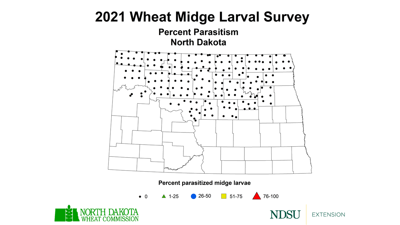 Map of North Dakota indicating percent of parasitism in 2021 survey of wheat midge larvae.