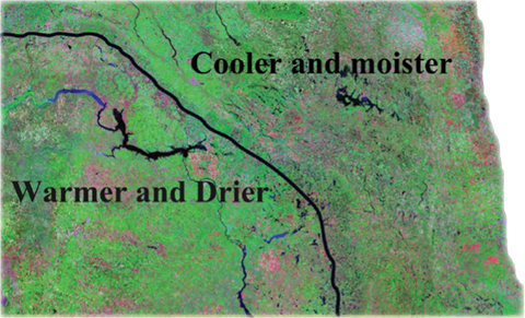 Figure 2. General climate map of North Dakota with respect to canola production. In any given year, the line separating cooler, moister areas from warmer, drier areas may move east or west considerably.
