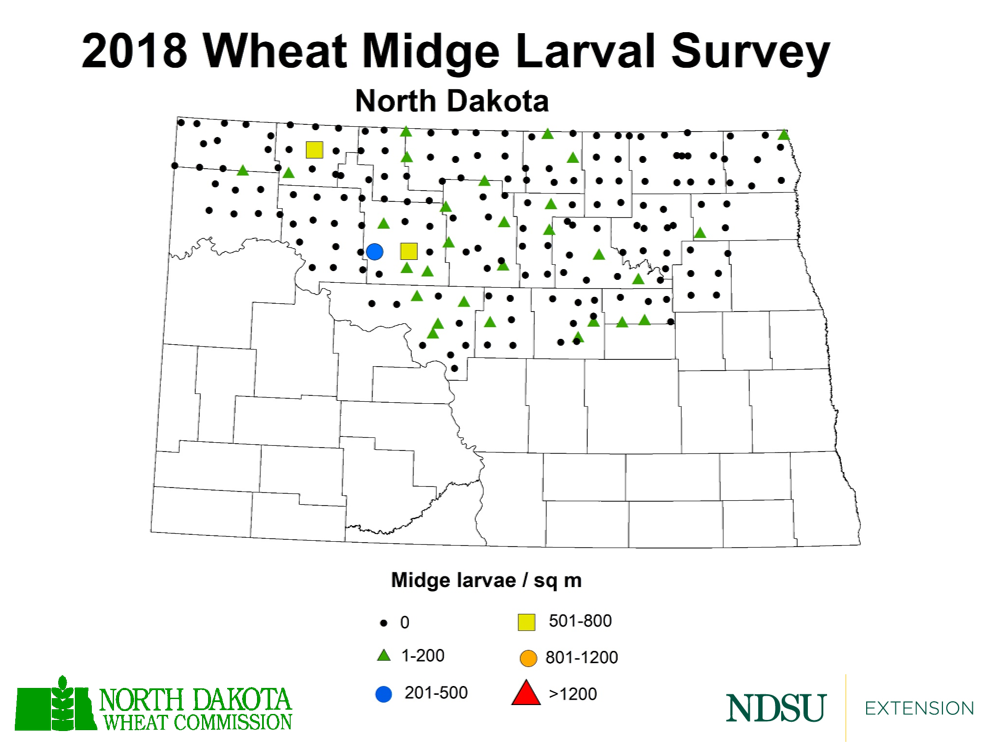 Map of North Dakota showing instances of wheat midge larvae in 2018
