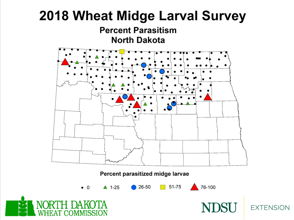 Map of North Dakota indicating percent of parasitism in 2018 survey of wheat midge larvae.