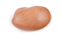 oval-shaped bean