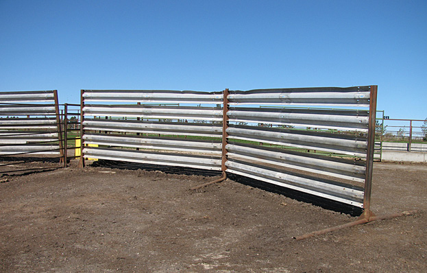 Permanent or portable constructed wind fences protect beef cows
