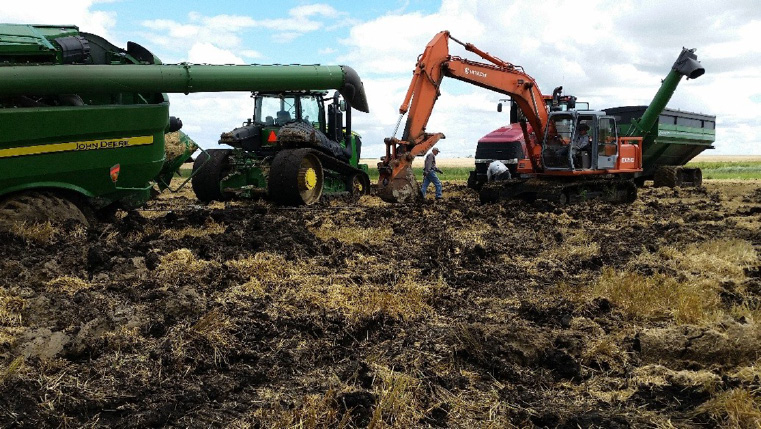 Figure 15. Digging out a buried combine harvester in the Devils Lake area of North Dakota during a wet fall. Soils were composed of significant illite, with smectite slightly dominant. The field is managed as conventional till. 