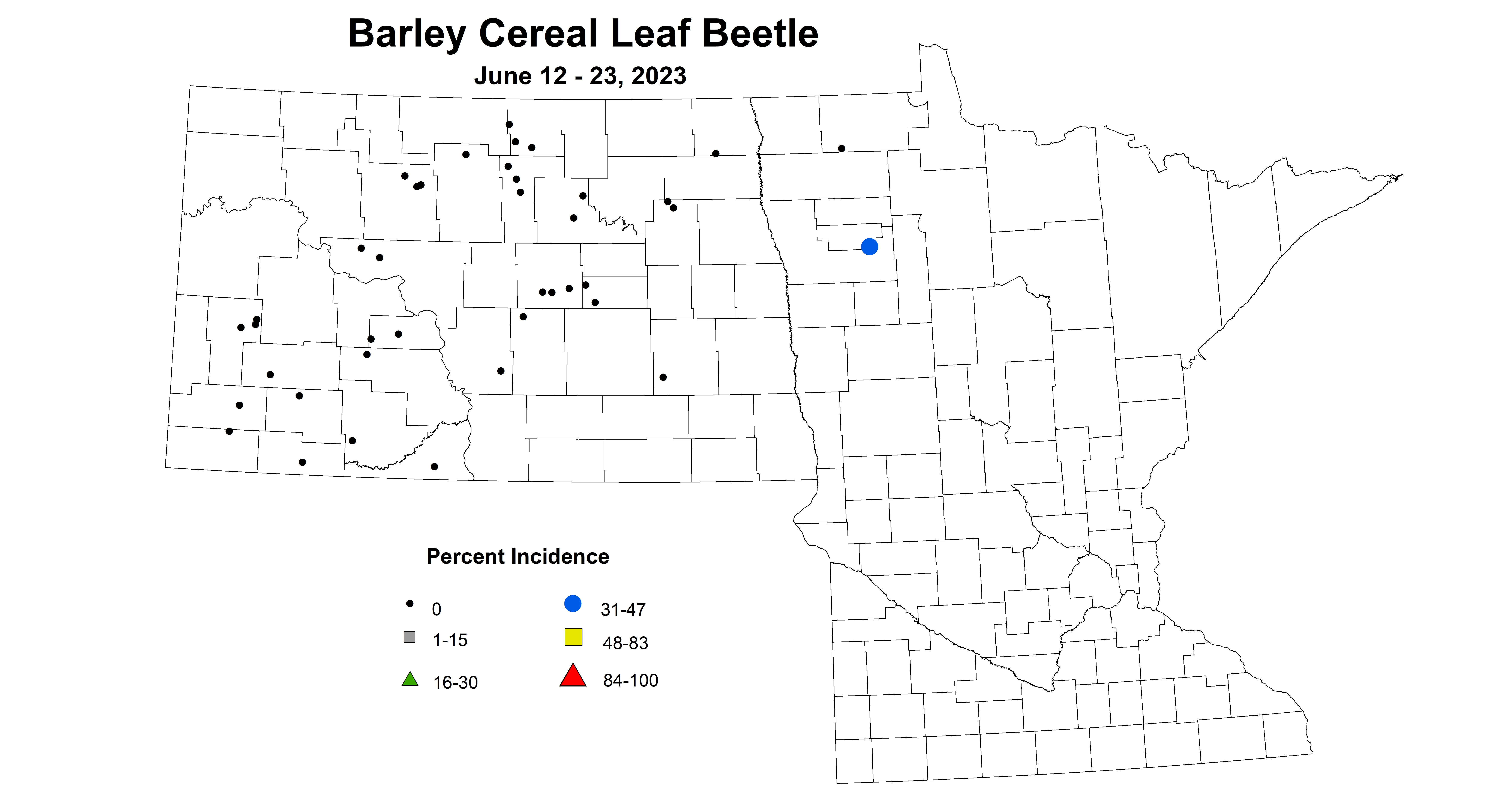 barley cereal leaf beetle June 12-23 2023 updated