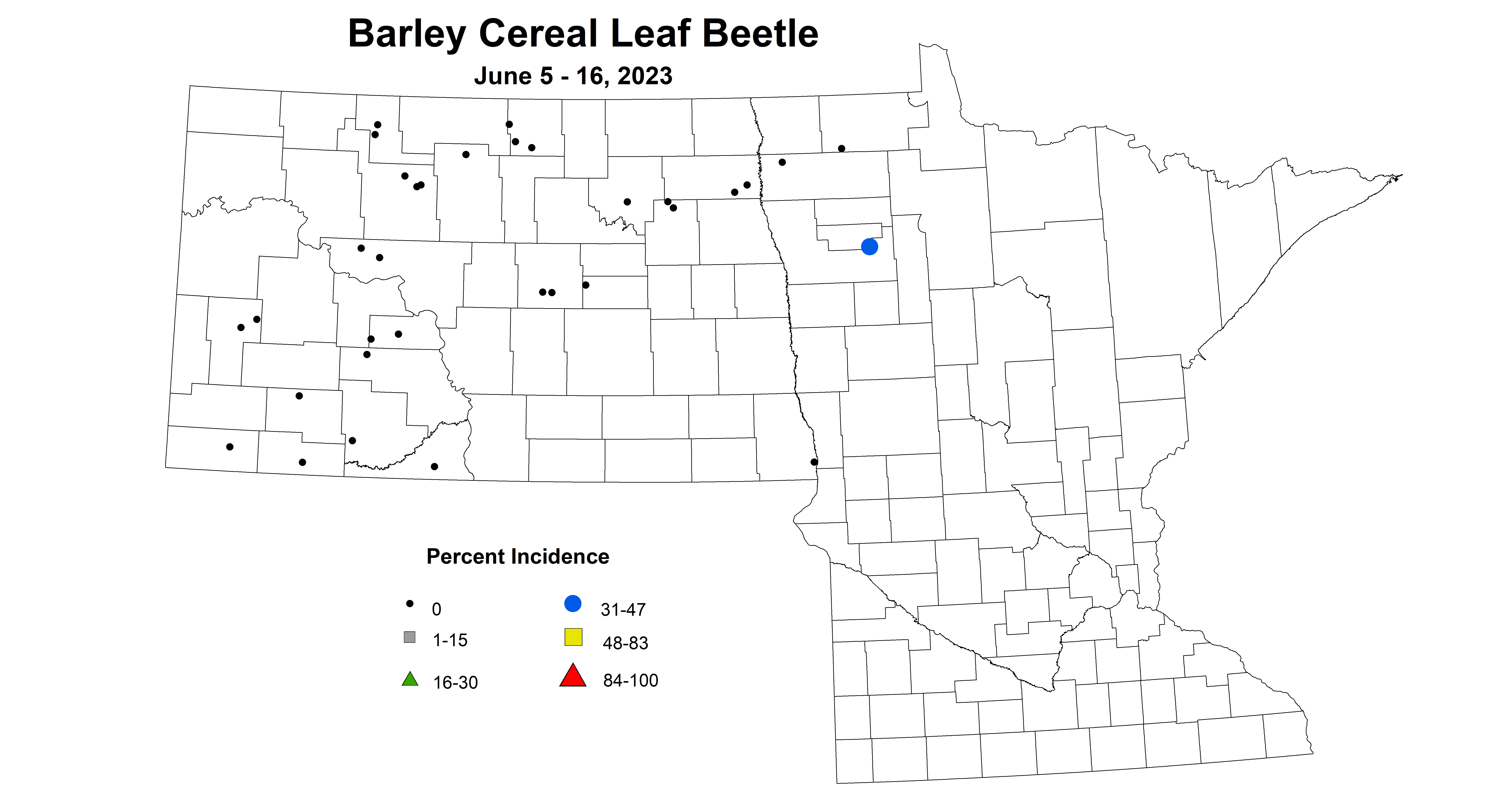 barley cereal leaf beetle June 5-16 2023