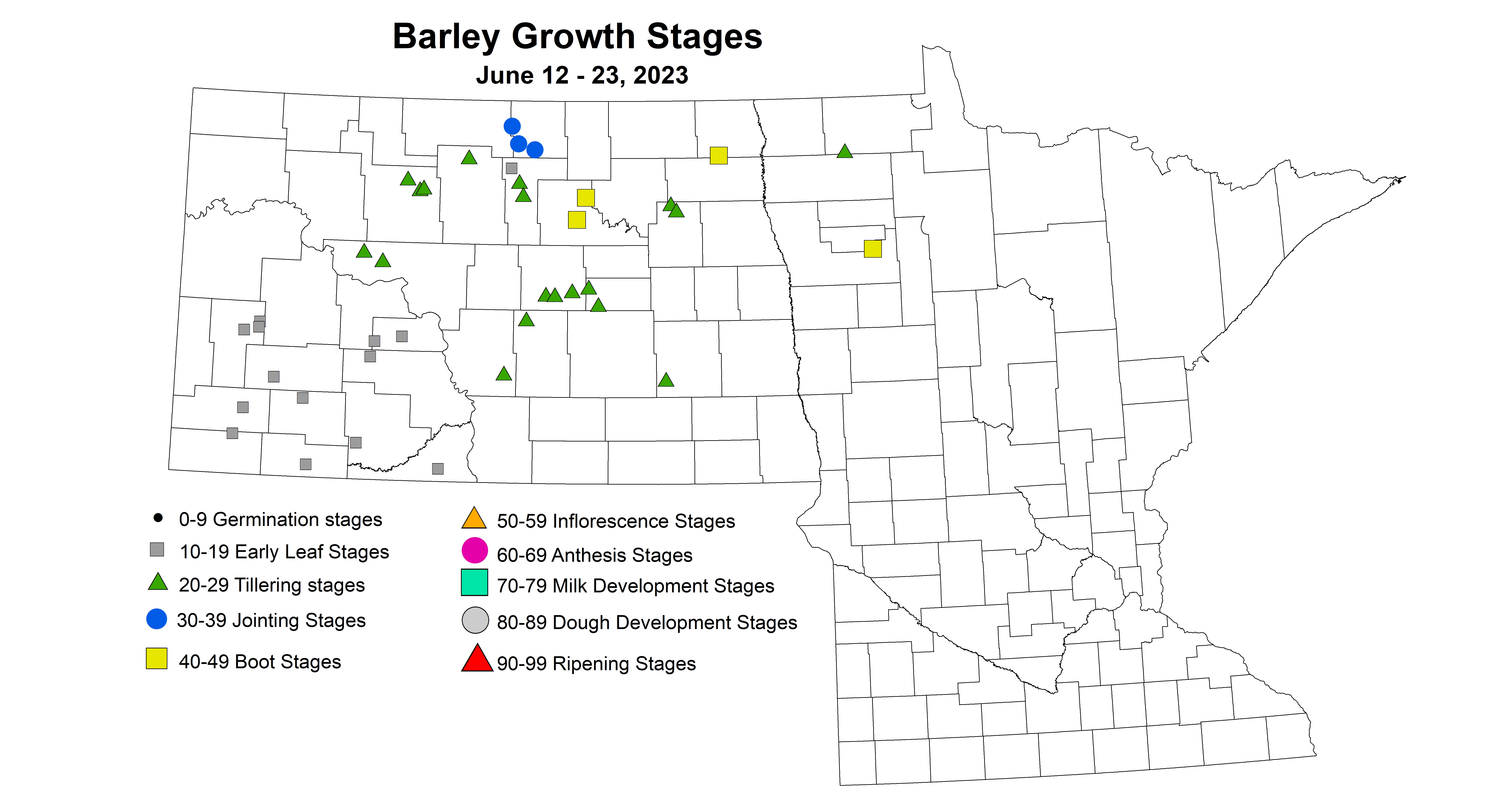 barley growth stages June 12-23 2023 updated