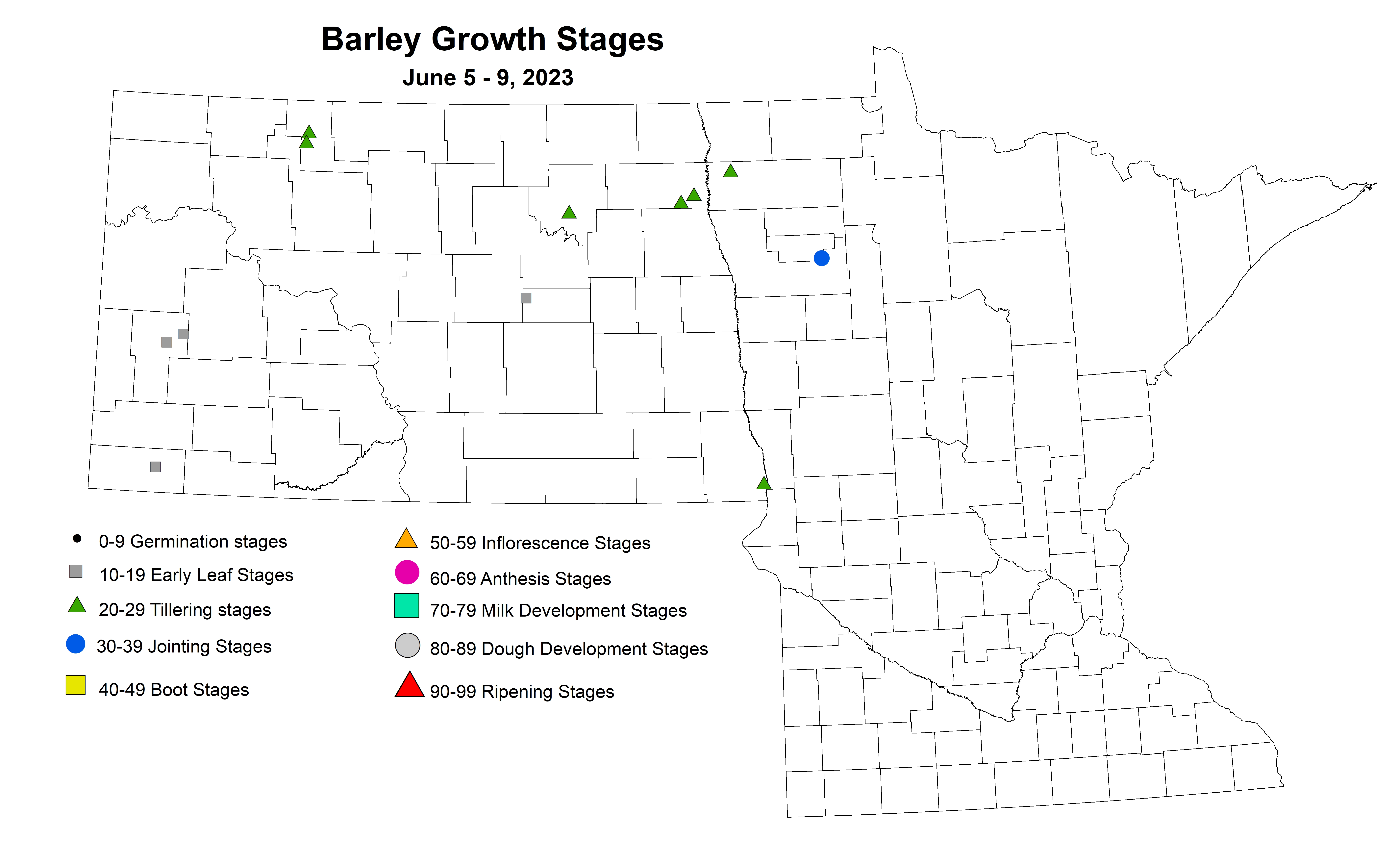 barley growth stages June 5-9 2023