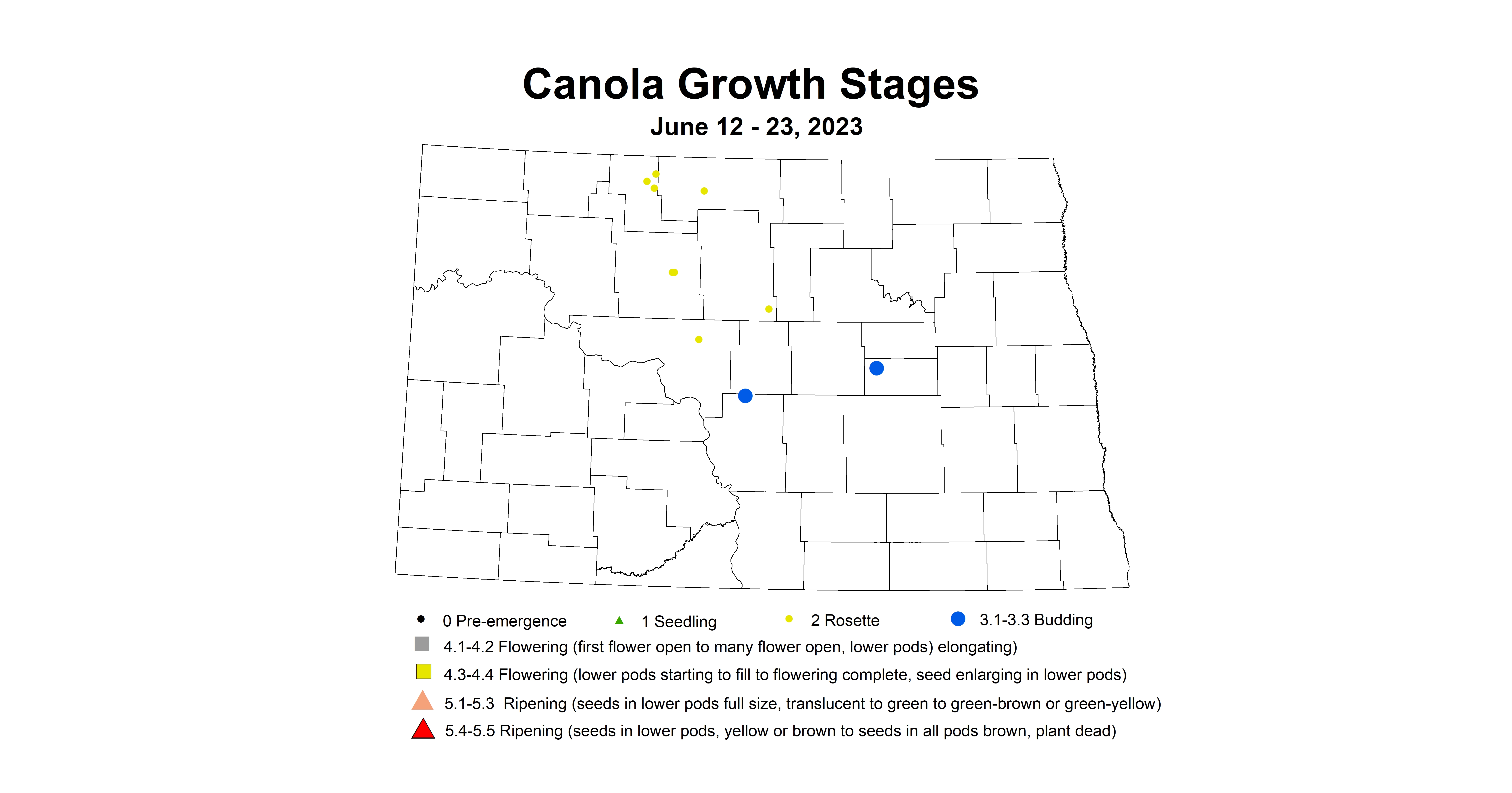 canola growth stages June 12-23 2023