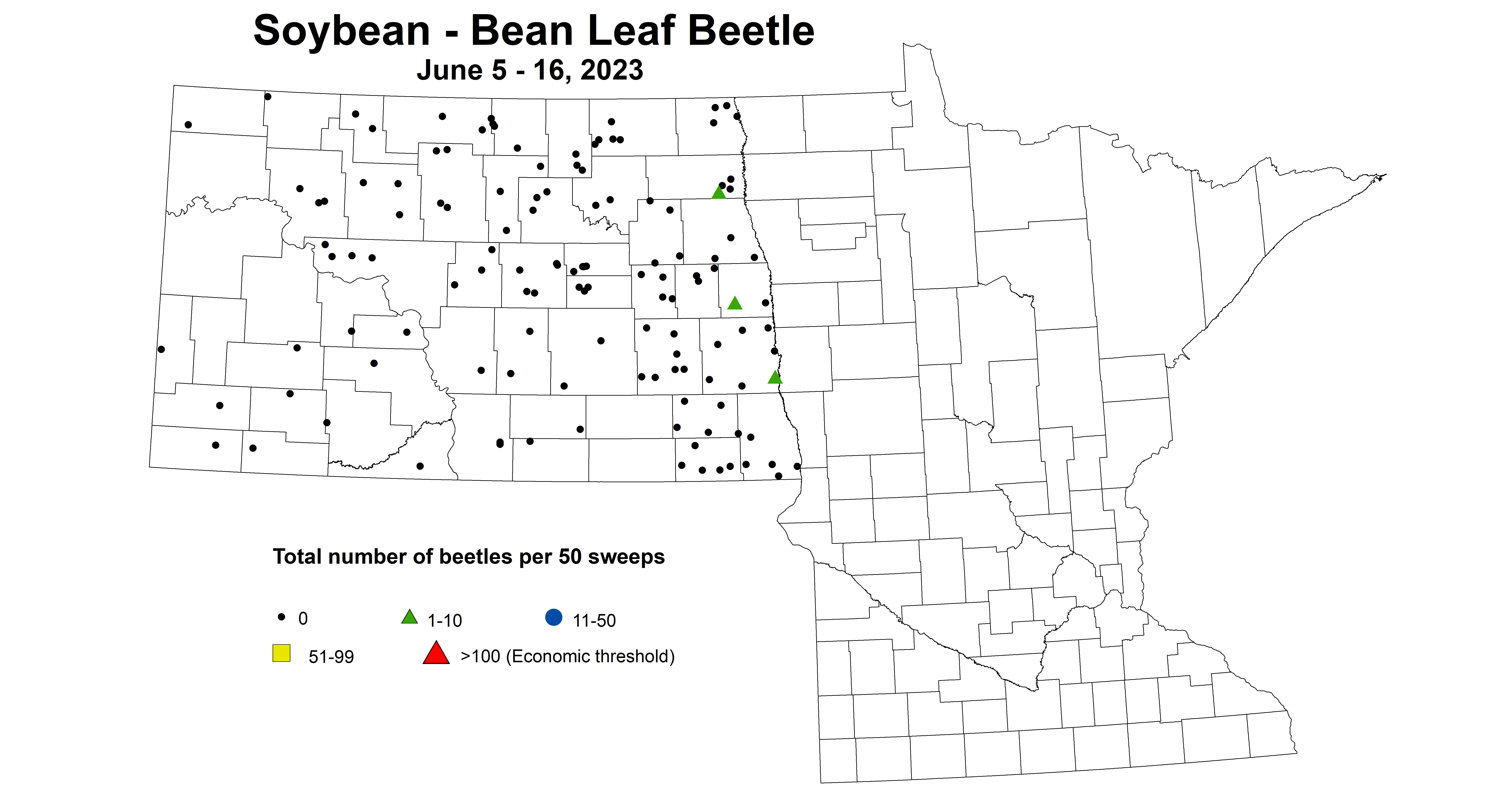 soybean BLB per 50 sweeps June 5-16 2023