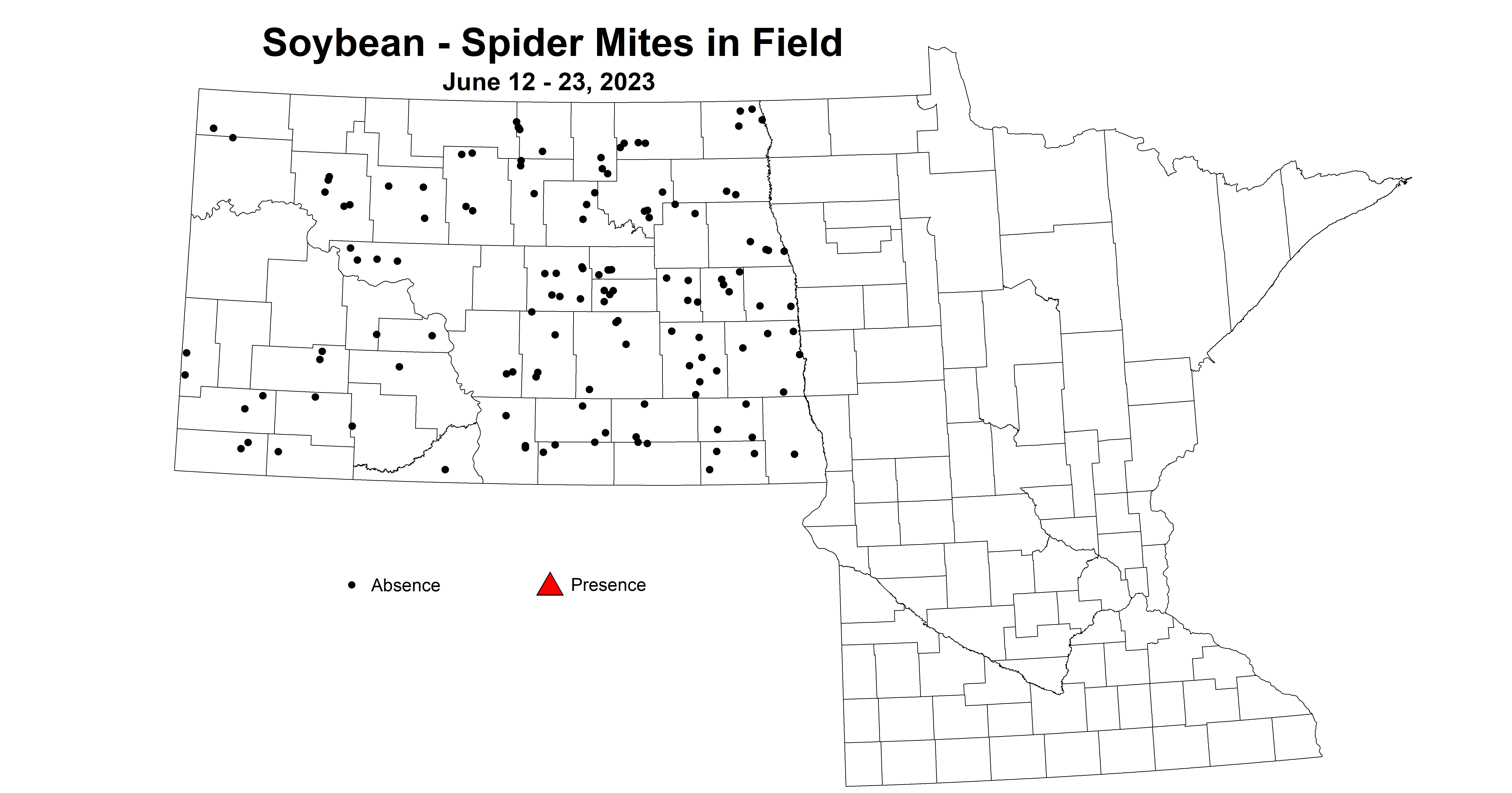 soybean spider mites in field June 12-23 2023 updated