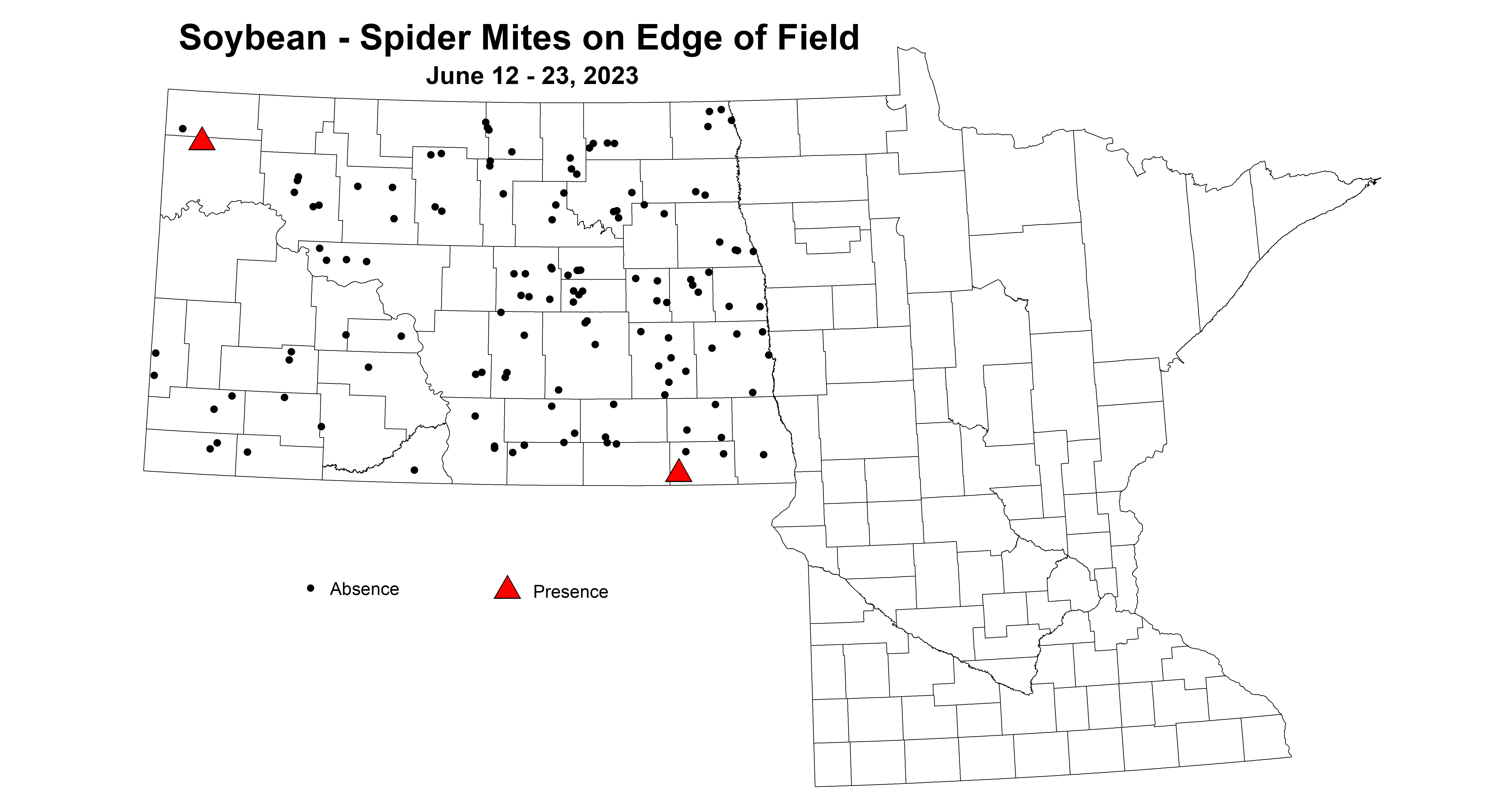 soybean spider mites on edge of field June 12-23 2023