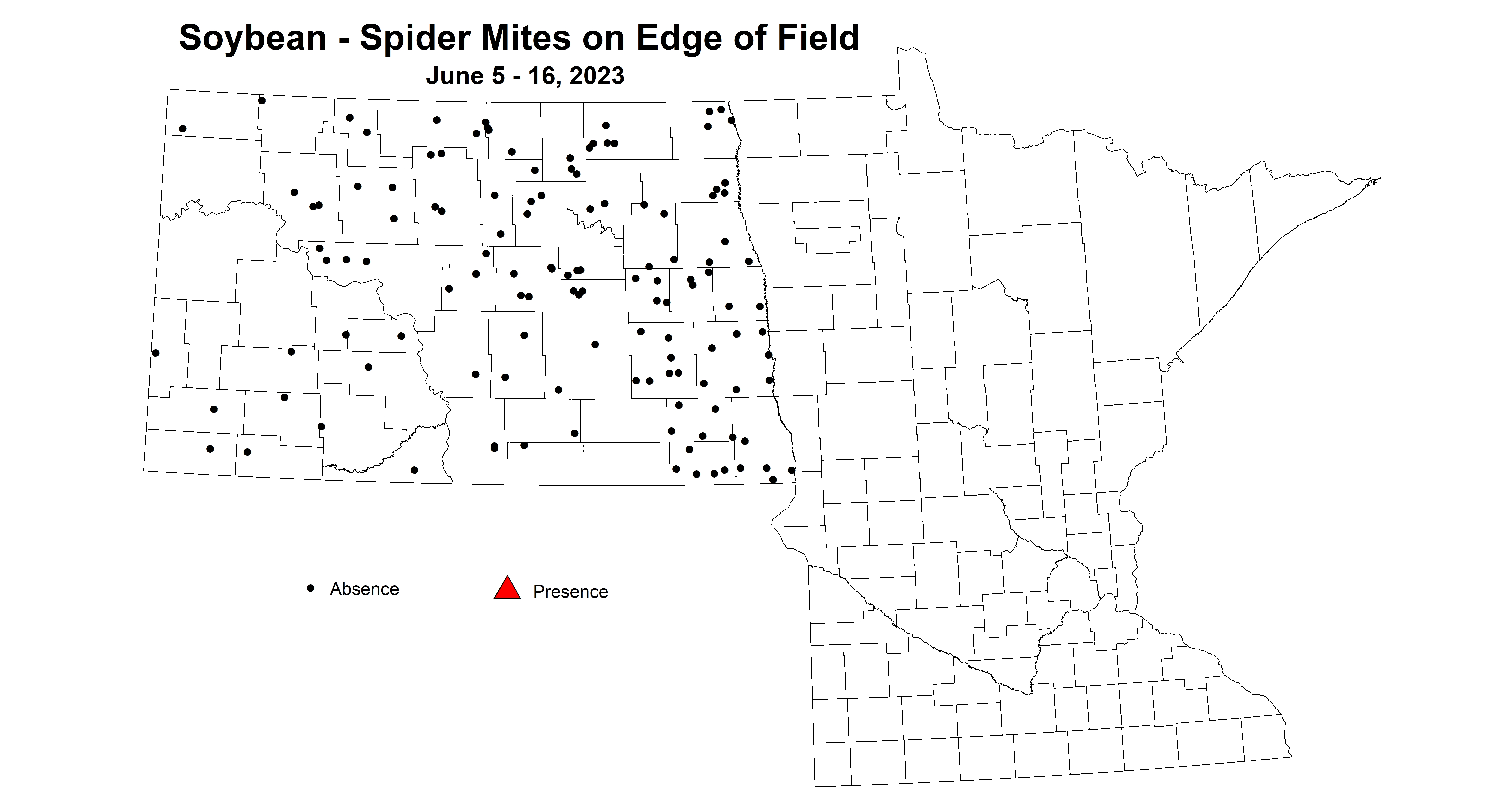 soybean spider mites on edge of field June 5-16 2023