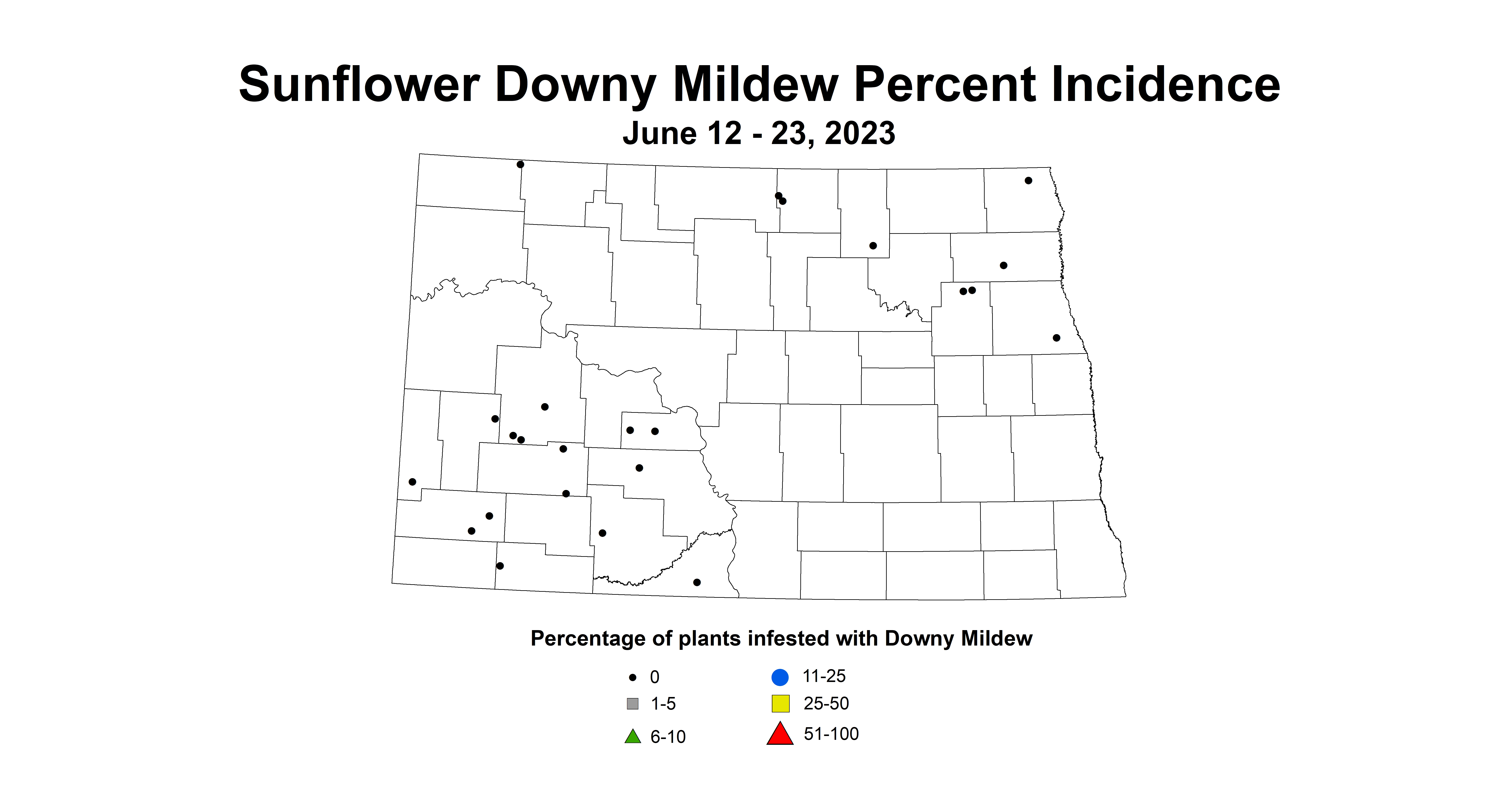 sunflower downy mildew incidence June 12-23 2023